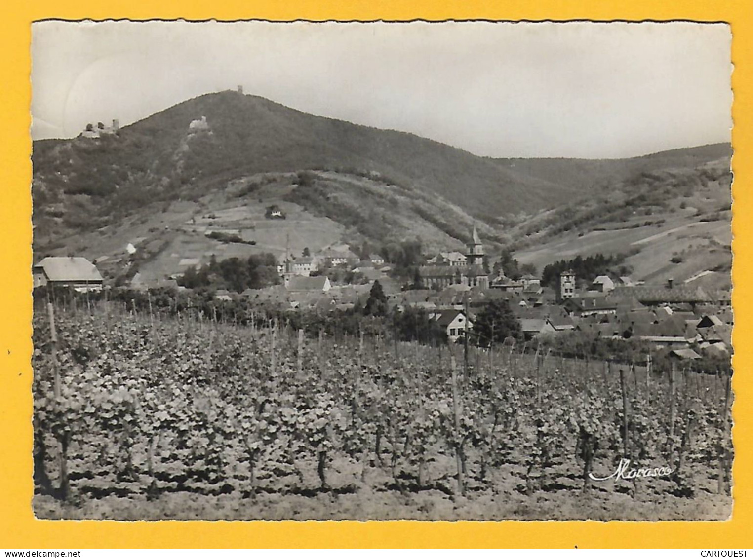 RIBEAUVILLE - Vue Générale Vers Les Trois Château - 1950 - Vigne - Vin - Ribeauvillé