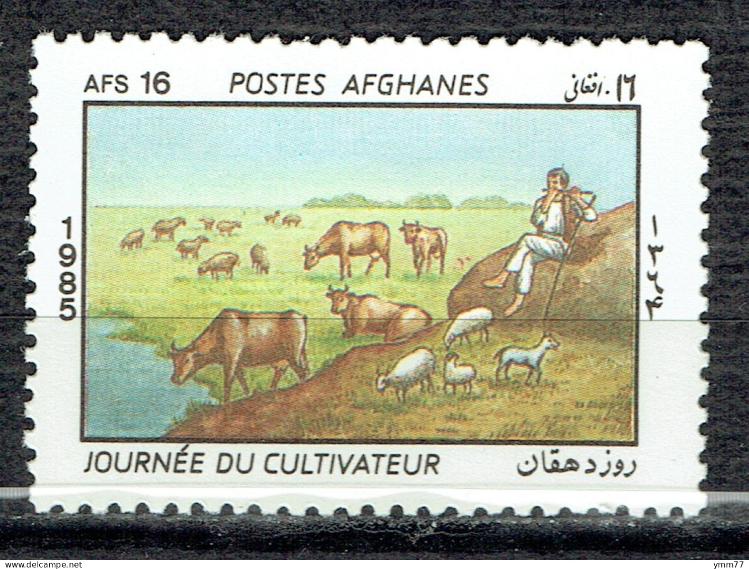 Journée Du Cultivateur : Berger Et Bétails - Afganistán