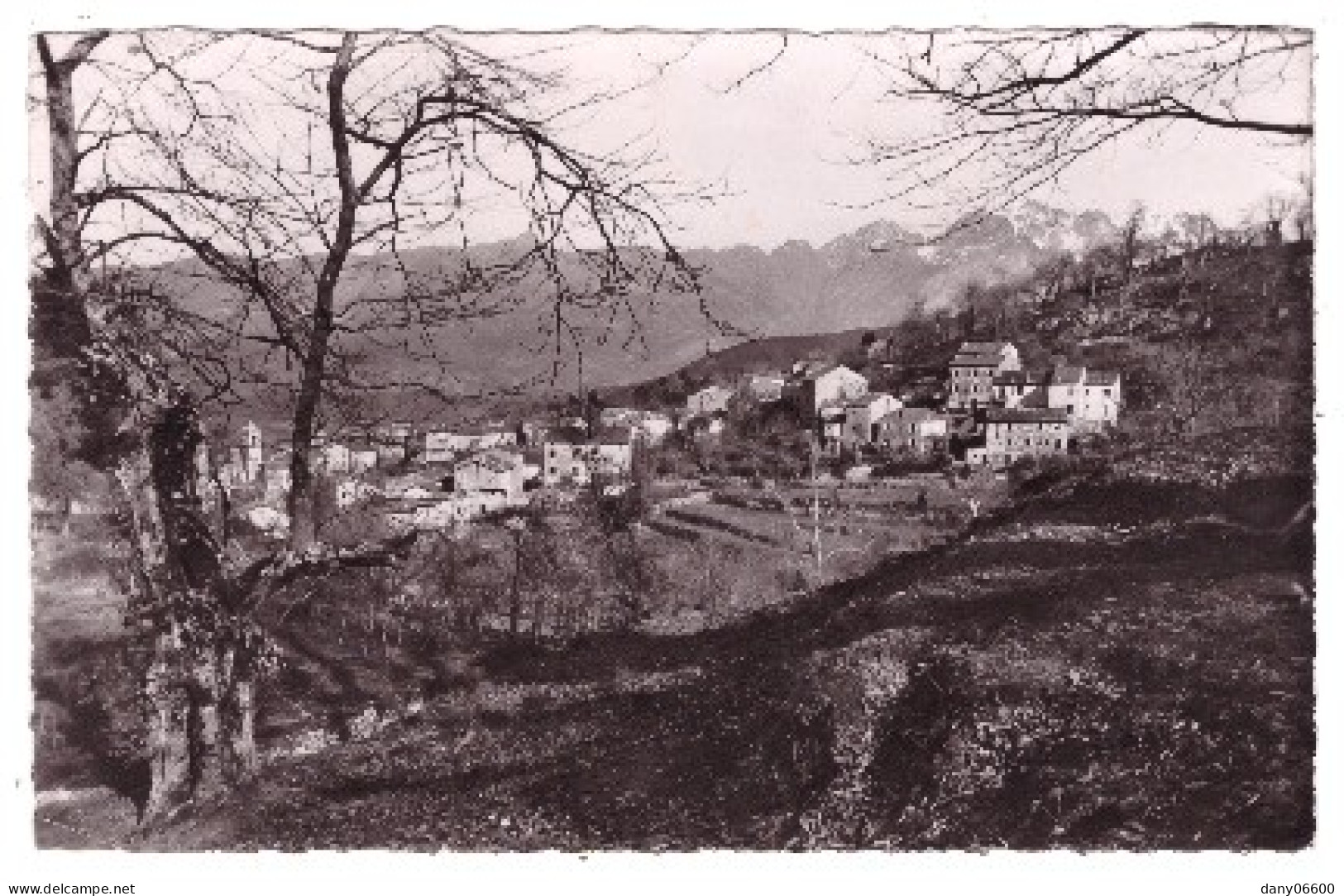 AJACCIO   (carte Photo) - Ajaccio