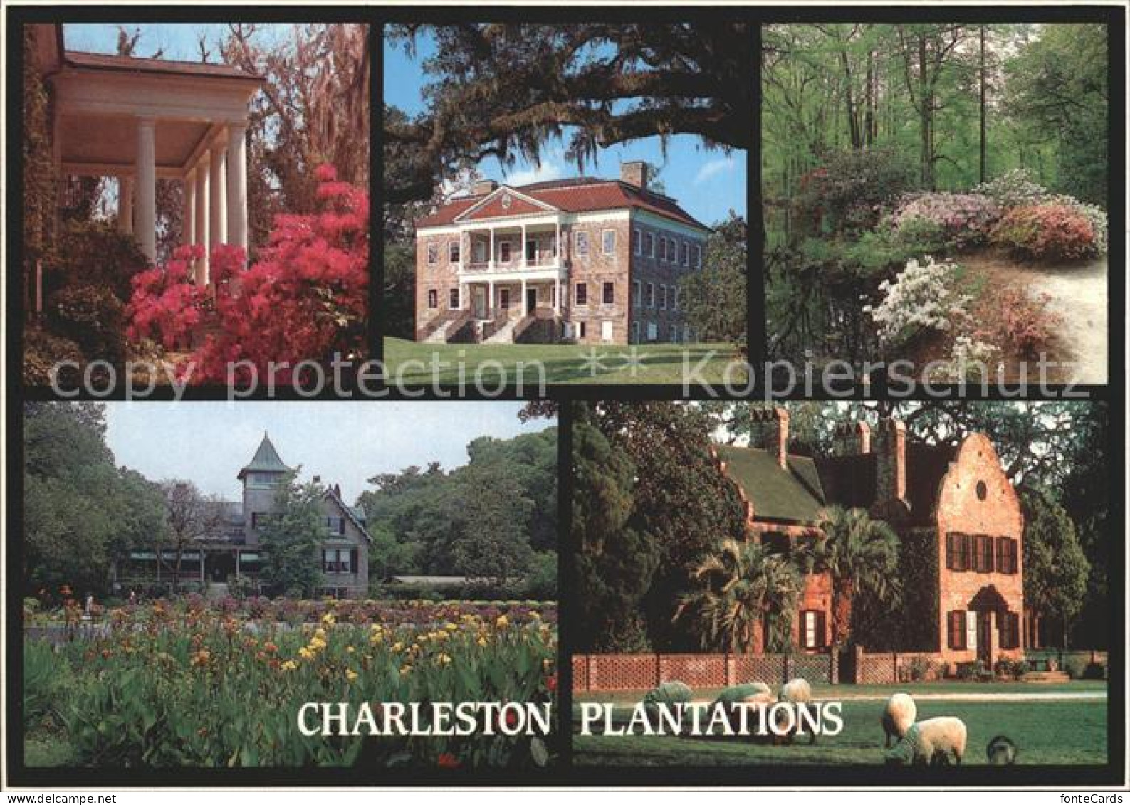 72294715 Charleston_South_Carolina Plantations Boone Hall Drayton Hall  - Altri & Non Classificati