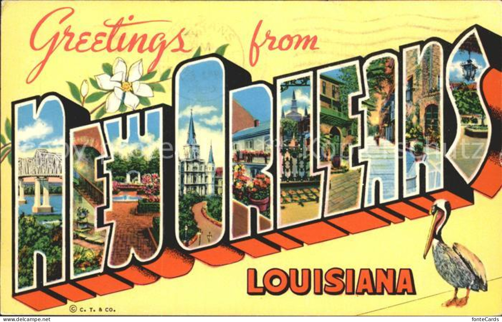 72291122 New_Orleans_Louisiana  - Altri & Non Classificati