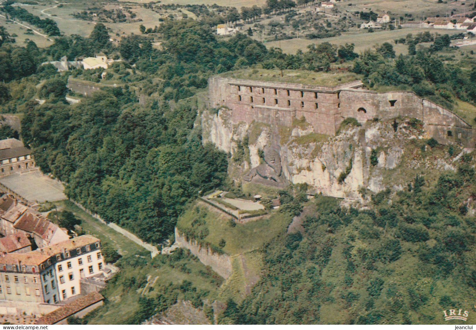 CPM . BELFORT . LE LION ( Oeuvre De BARTHOLDI ) ET LA CITADELLE  .  CARTE NON ECRITE - Belfort – Le Lion