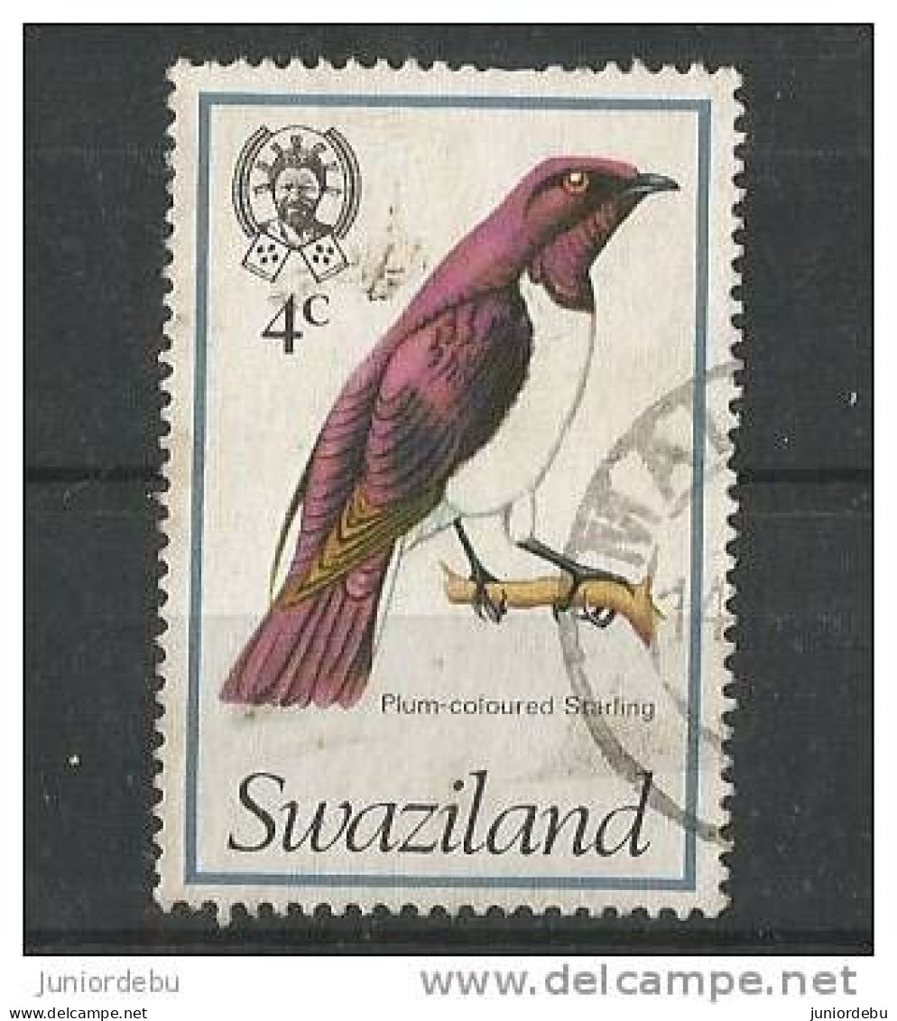 Swaziland   - 1976   - Bird - Plum-coloured Starling -   Fine USED. ( D )  ( Condition As Per Scan ) ( OL 28/04/2013) - Swaziland (1968-...)