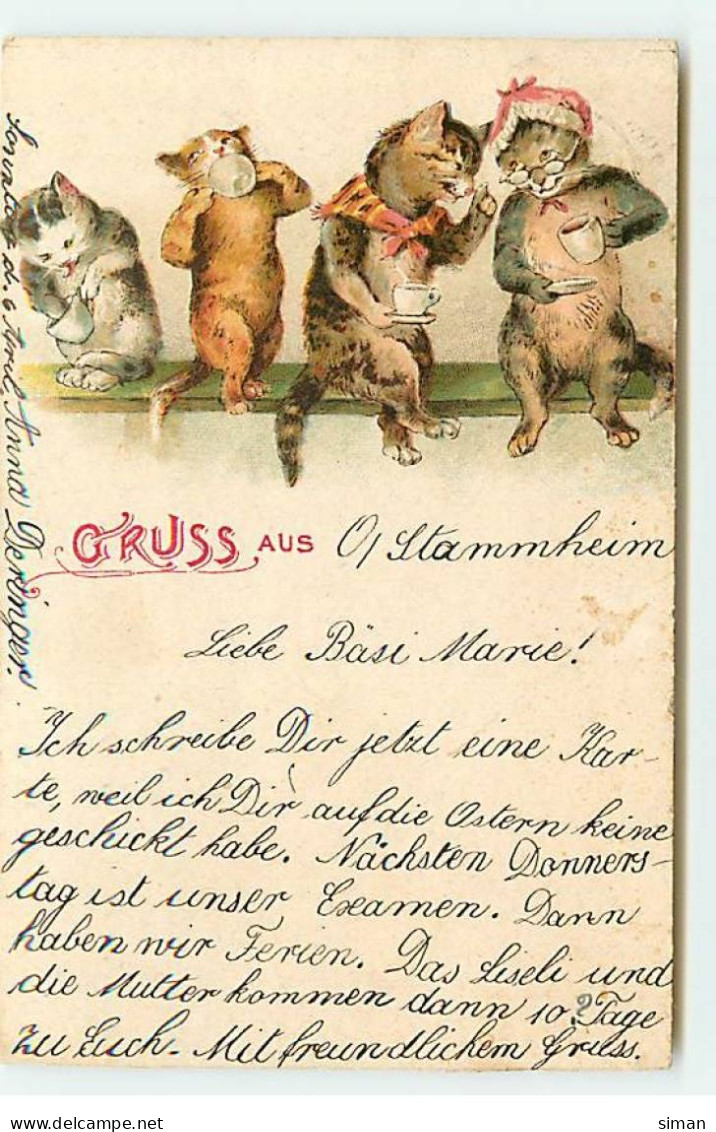 N°22764 - Fantaisie - Gruss Aus ... - Famille De Chats Habillés Buvant Du Thé - Dressed Animals