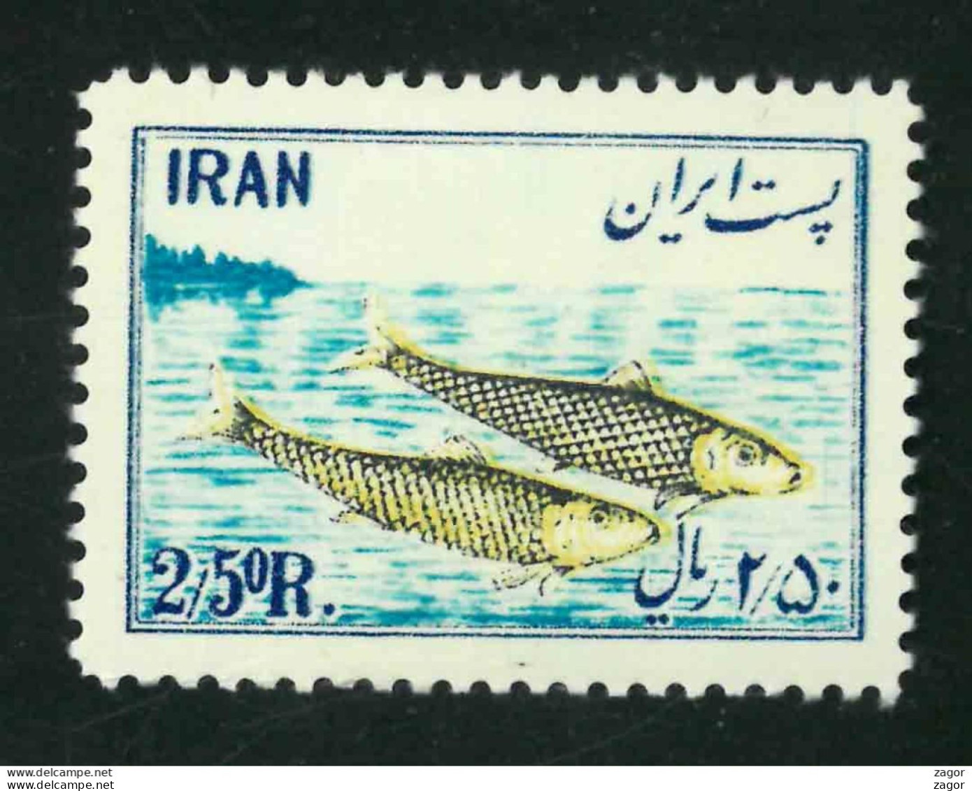 IRAN 1954  FISH MARINE  MLH  See 2 Scan - Irán