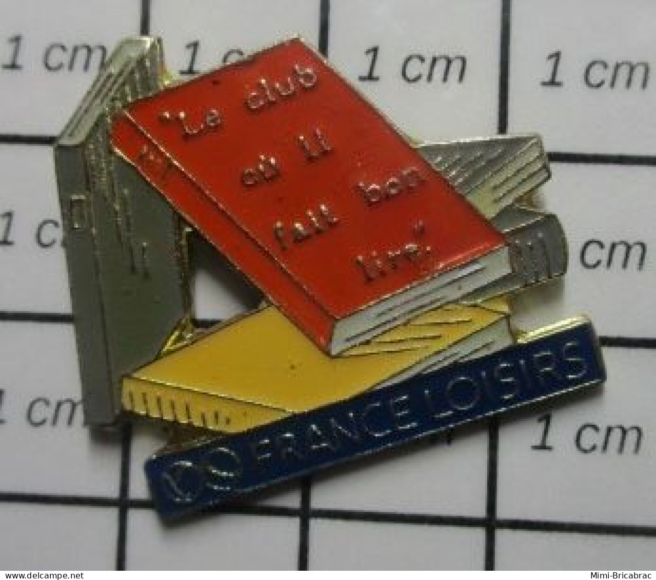 1618B Pin's Pins / Beau Et Rare / MARQUES / LIVRES FRANCE-LOISIRS LE CLUB Où IL FAIT BON LIRE - Trademarks