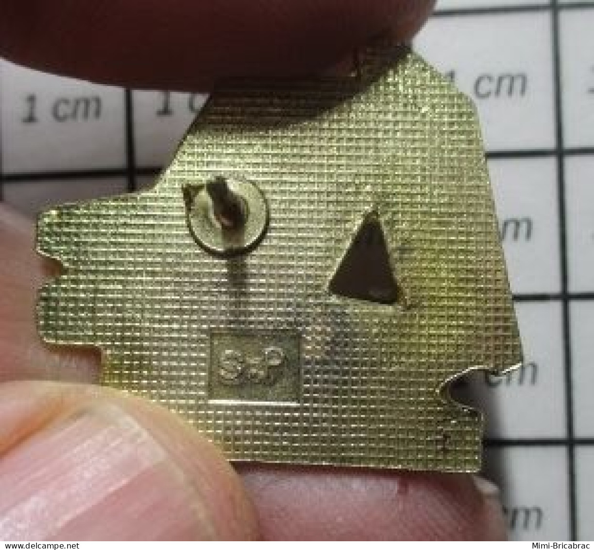 1618B Pin's Pins / Beau Et Rare / MARQUES / LIVRES FRANCE-LOISIRS LE CLUB Où IL FAIT BON LIRE - Marche