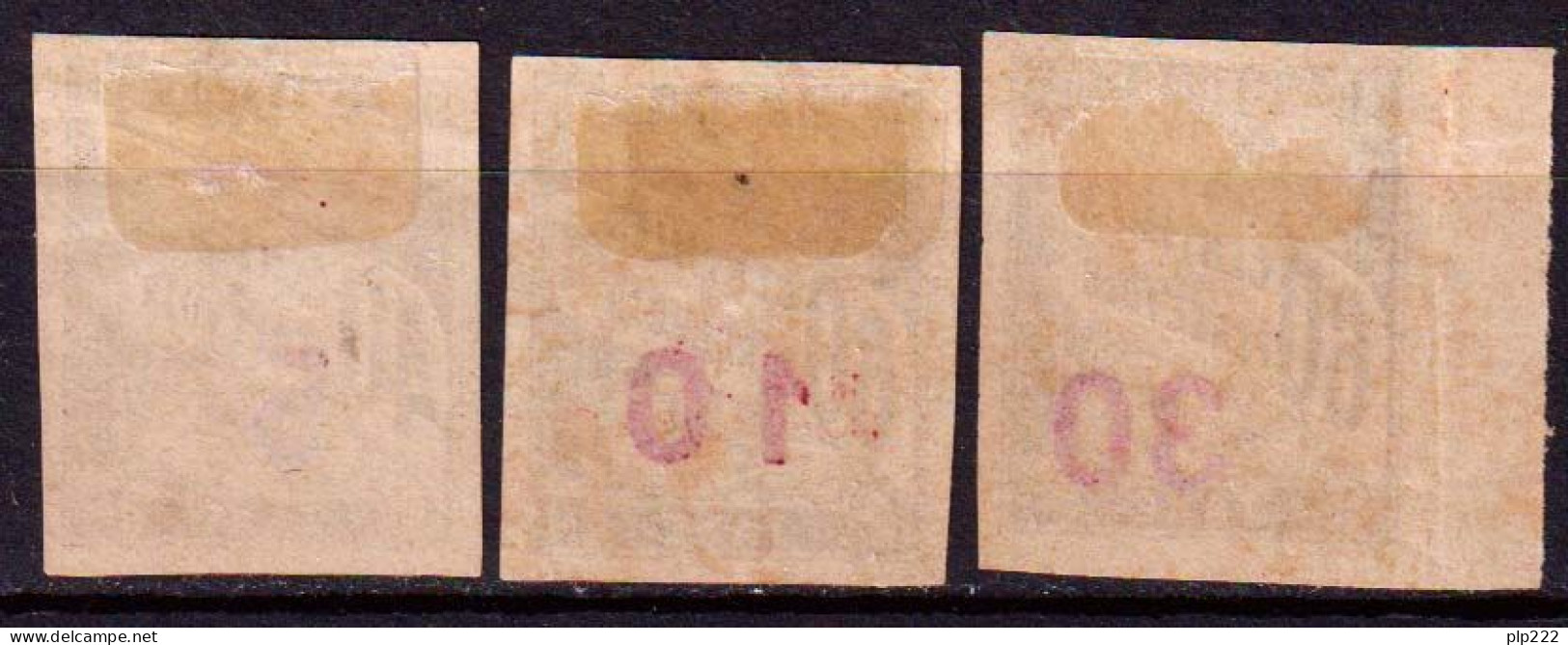 Indocina 1905 Segnatasse Y.T.2/4 (*)/MNG VF/F - Unused Stamps