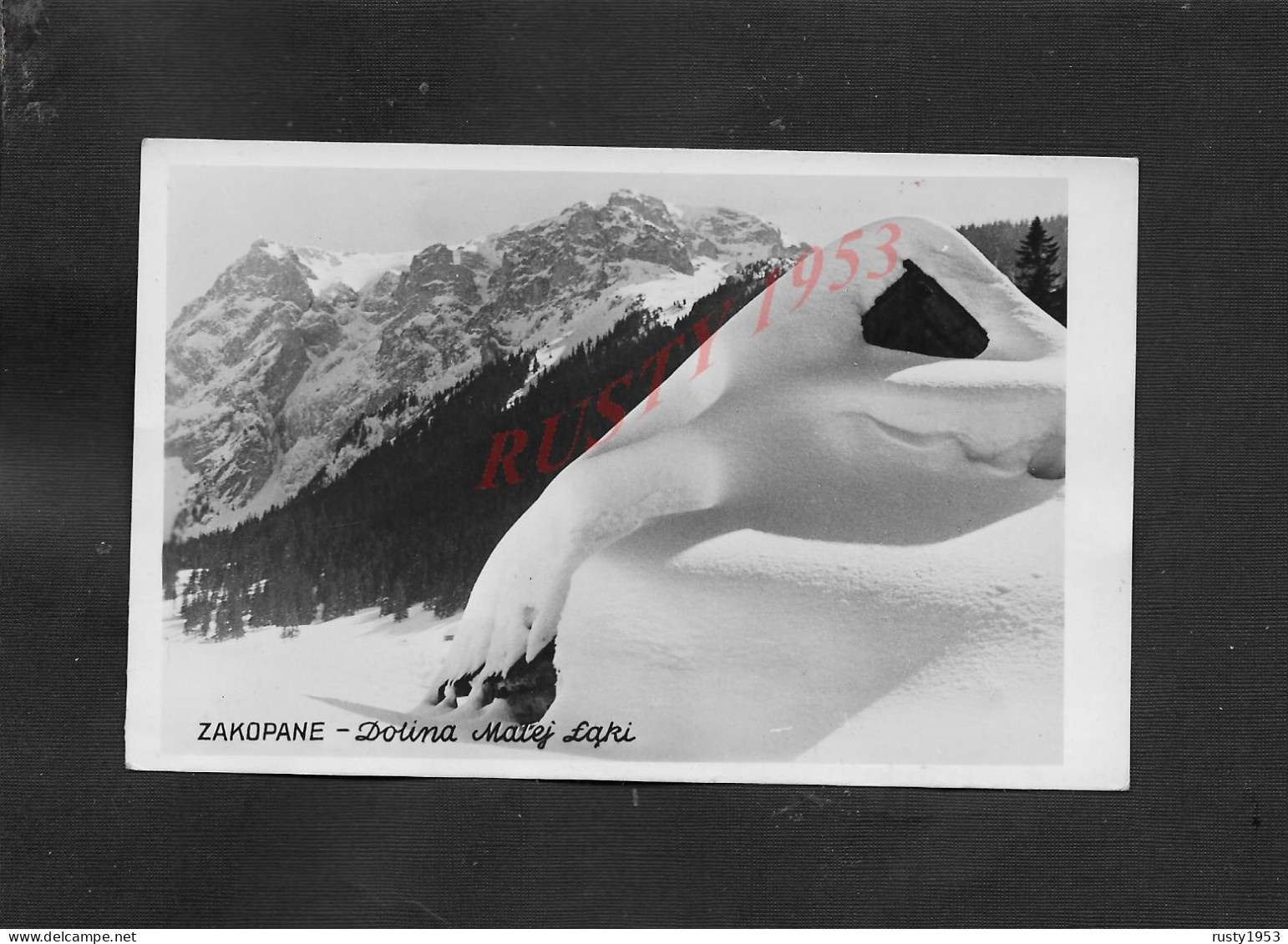 POLOGNE CARTE PHOTO DE ZAKOPANE STATION SKI : - Polen