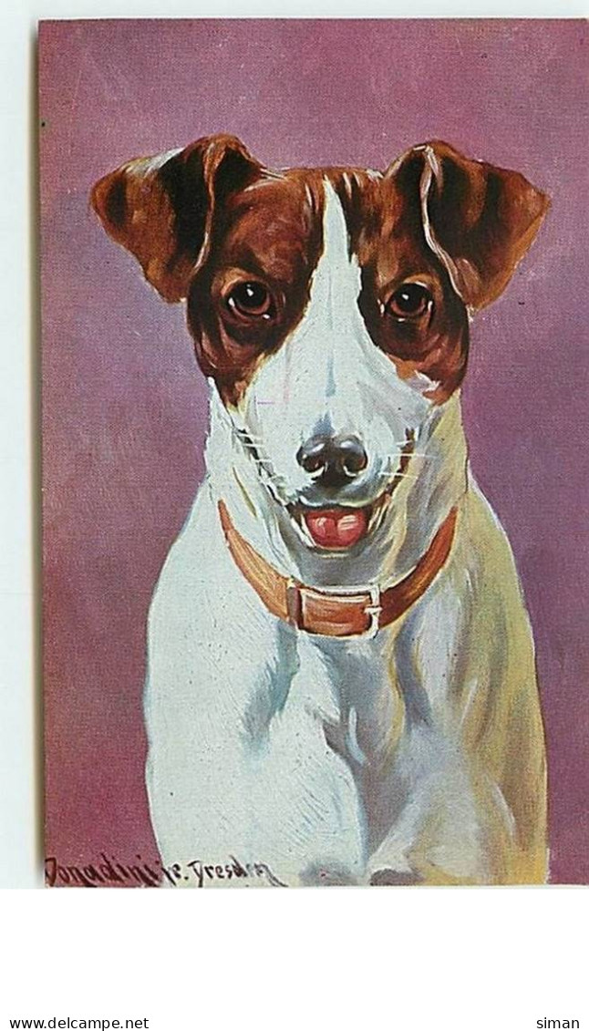 N°8428 - Carte Illustrateur - Donaldini Jr Dresden - Fox Terrier - Autres & Non Classés