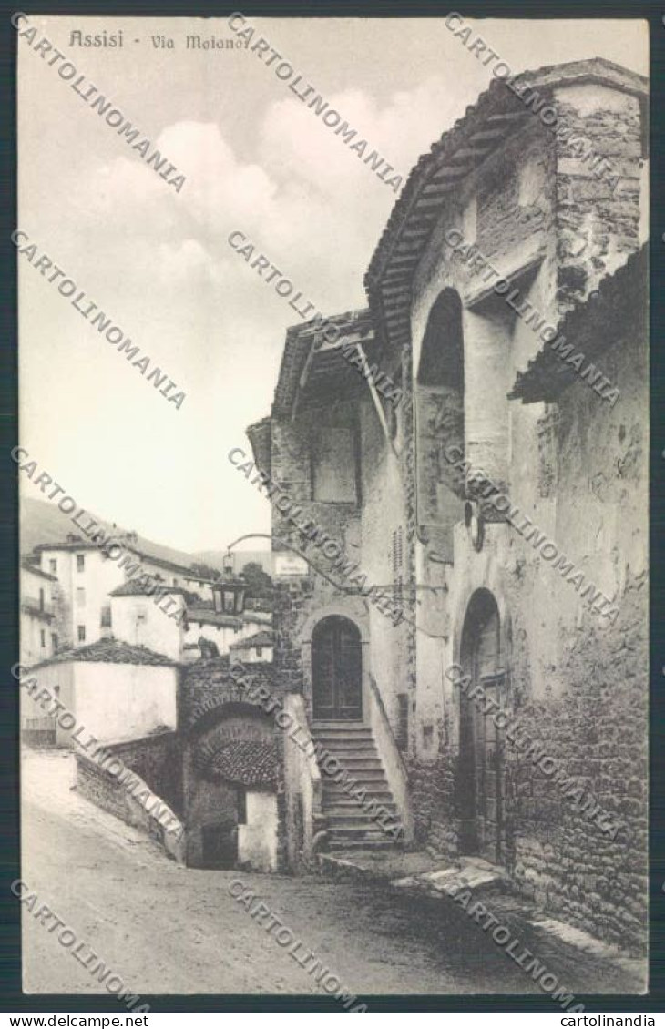 Perugia Assisi Cartolina ZB8615 - Perugia