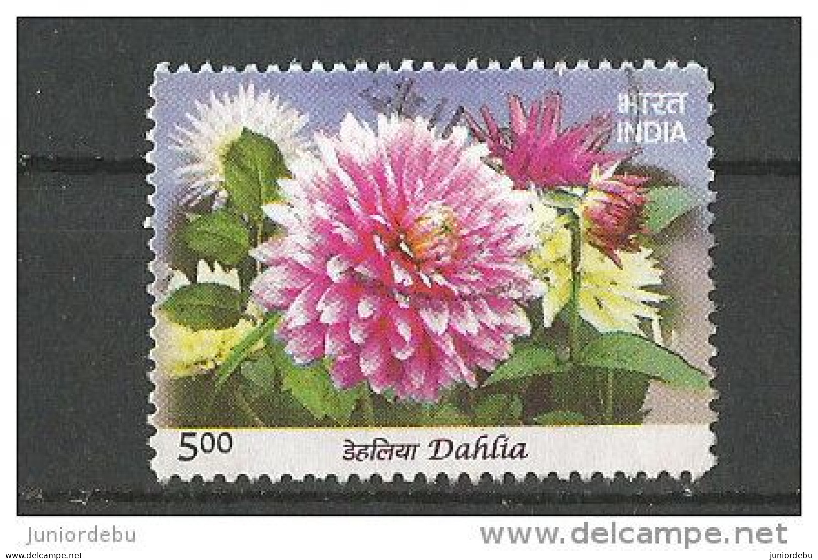 India  - Flower - Dahlia - USED. ( OL  23/12/2013 ) - Sonstige & Ohne Zuordnung