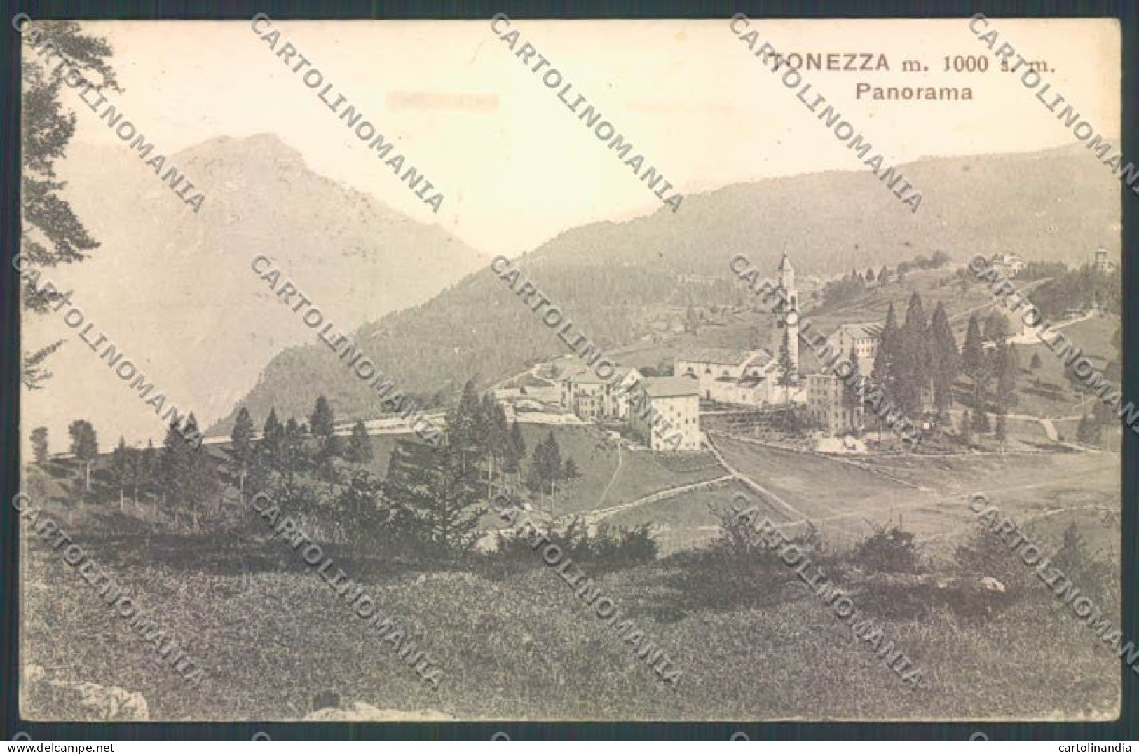 Vicenza Tonezza Cartolina ZB8130 - Vicenza