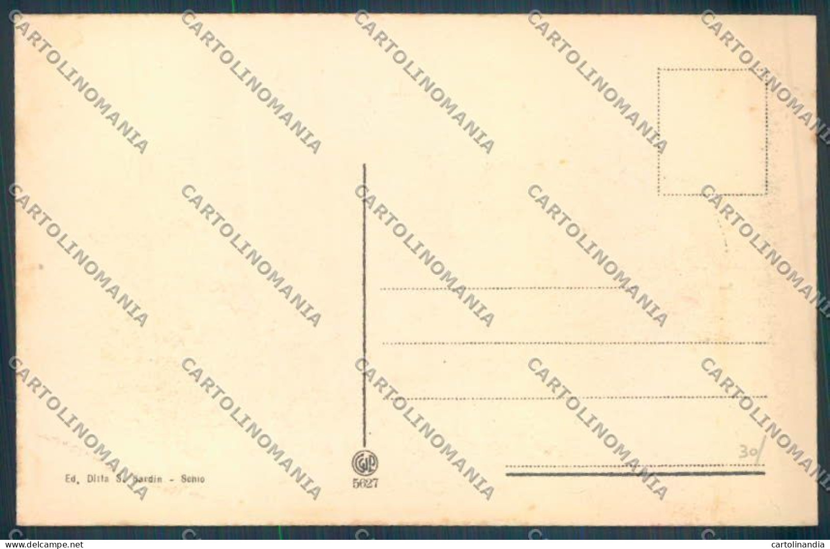 Vicenza Schio Scuole Elementari Femminili Cartolina ZB8007 - Vicenza