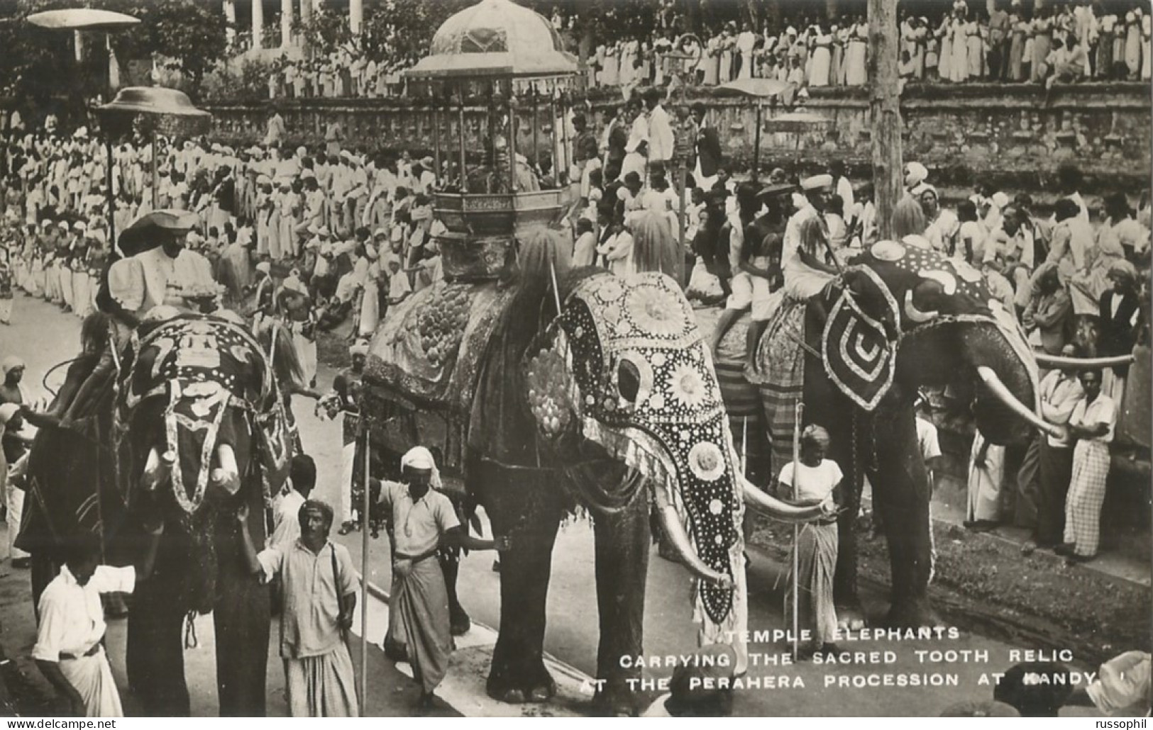 SRI-LANKA (CEYLON) – TEMPLE ELEPHANTS CARRYING THE SACRED TOOTH RELIC  – PUB. BY THOMAS - 1951  - Sri Lanka (Ceylon)