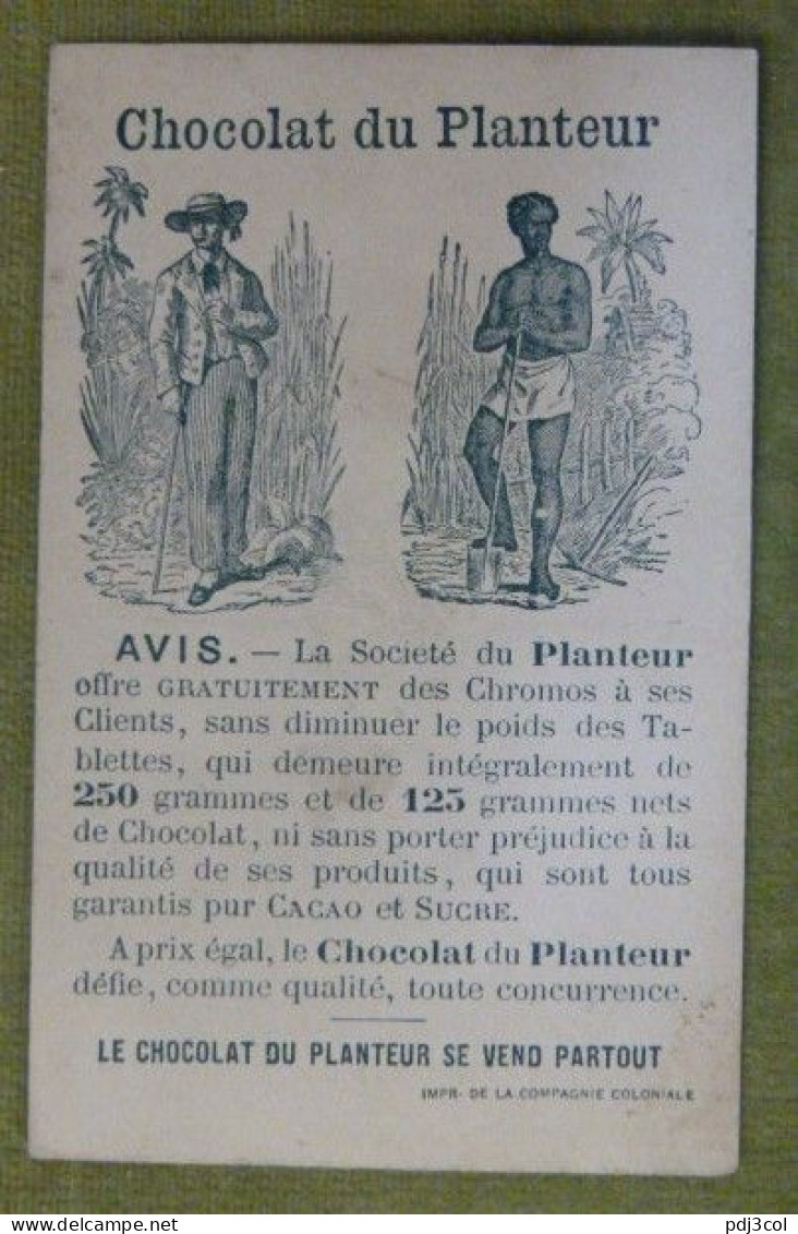 Expression Humoristique "Ne Bougeons Plus" Photographie, Portrait - Publicité Chocolat Du Planteur - Autres & Non Classés