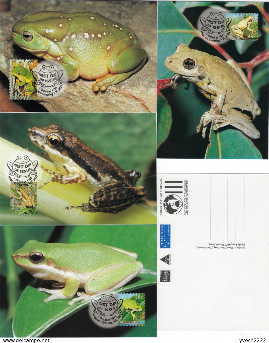 Australie 1999 Y&T 1773, 1775, 1777 Et 1778 Sur Cartes Maximum, Entiers Postaux. Grenouilles - Frösche