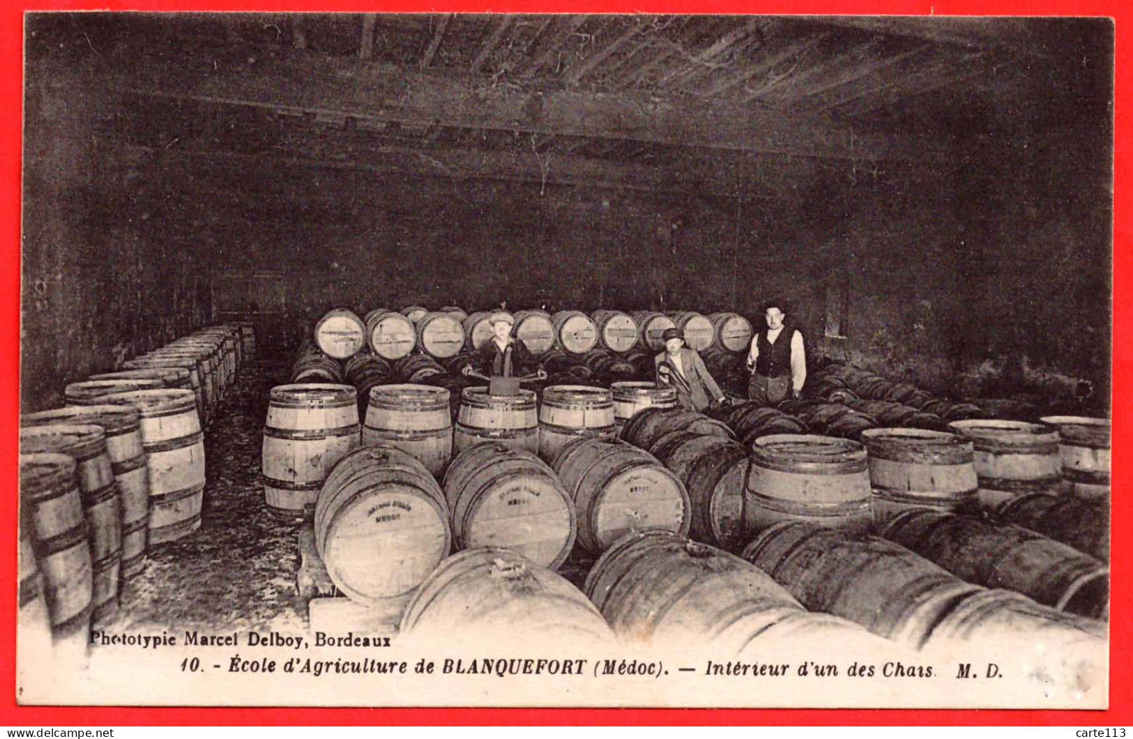 33 - B29885CPA - BLANQUEFORT - Ecole D'Agriculture  - Intérieur D'un Des Chais - Très Bon état - GIRONDE - Blanquefort