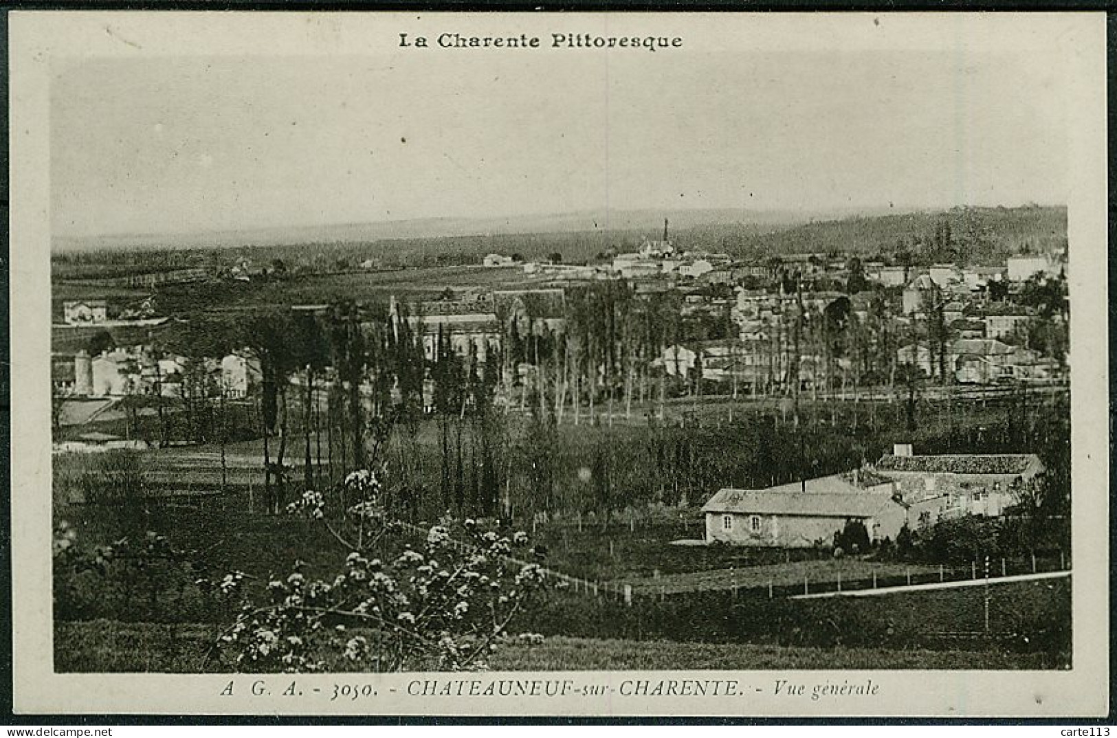 16 - B8857CPA - CHATEAUNEUF SUR CHARENTE - Vue Generale - Parfait état - CHARENTE - Chateauneuf Sur Charente