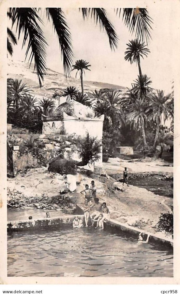 MAROC - SAN48513 - Environs De Fes - L'Oasis De Sidi Harrazem - Fez