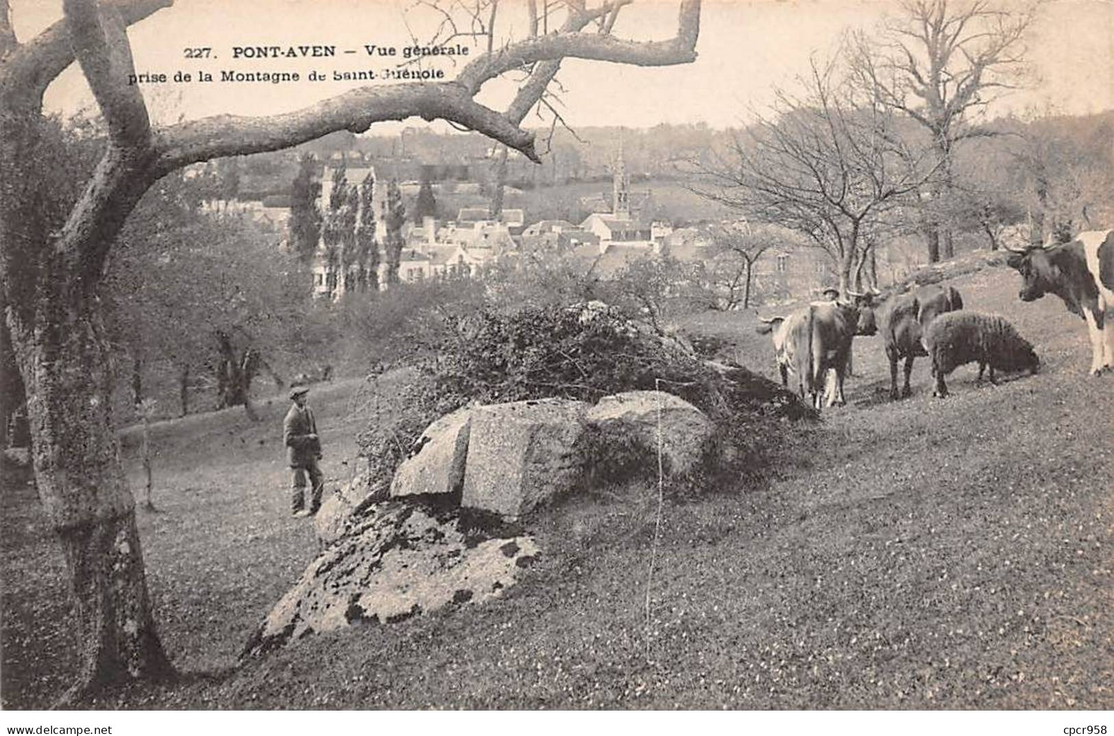 29 - PONT AVEN  - SAN46103 - Vue Générale Prise De La Montagne De Saint Guénolé - Agriculture - Pont Aven