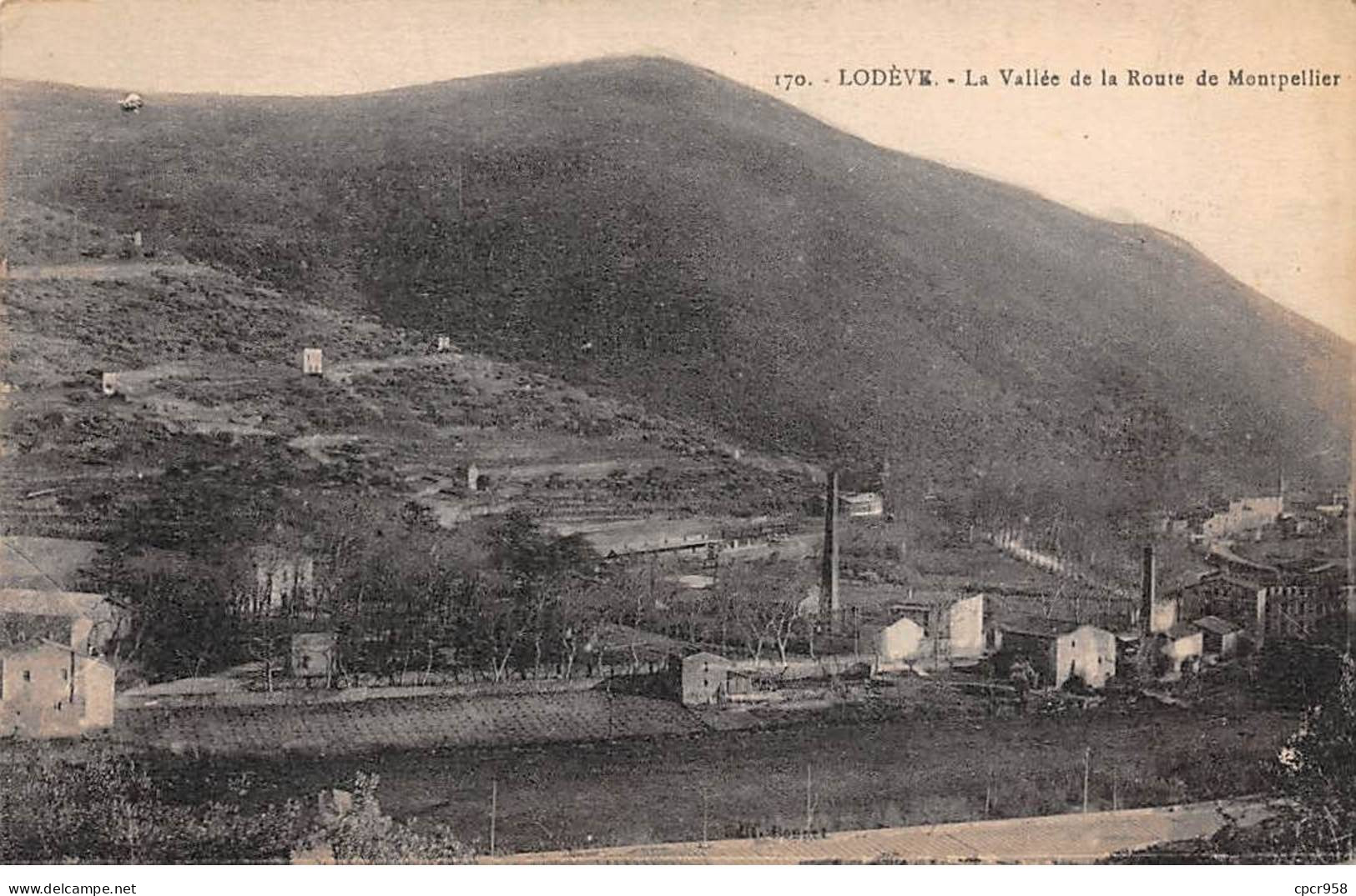 34 - LODEVE - SAN46140 - La Vallée De La Route De Montpellier - Lodeve