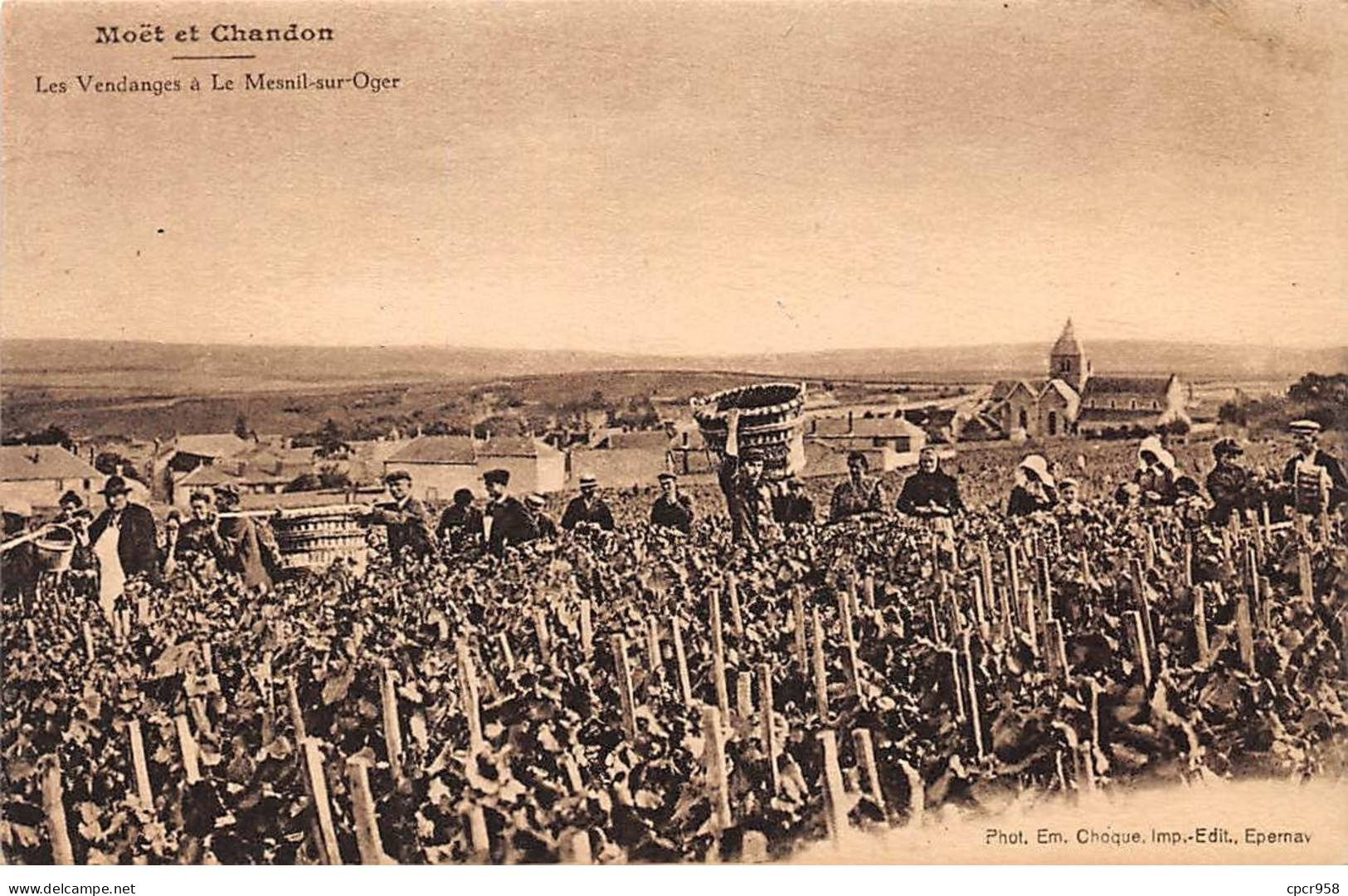 51 - REIMS - SAN44871 - Moët Et Chandon - Les Vendanges à Le Mesnil Oger - Vigne - Reims