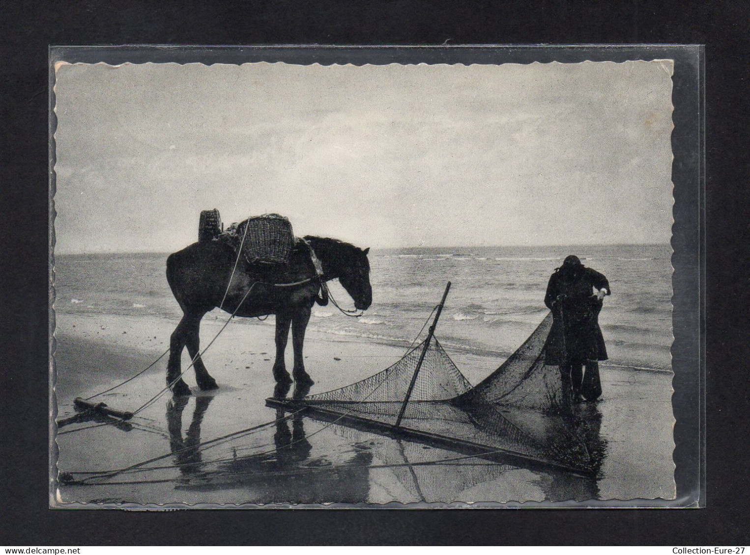 (24/04/24) BELGIQUE-CPSM COXYDE LES BAINS - KOKSIJDE BAD - SAINT IDESBALD - Koksijde