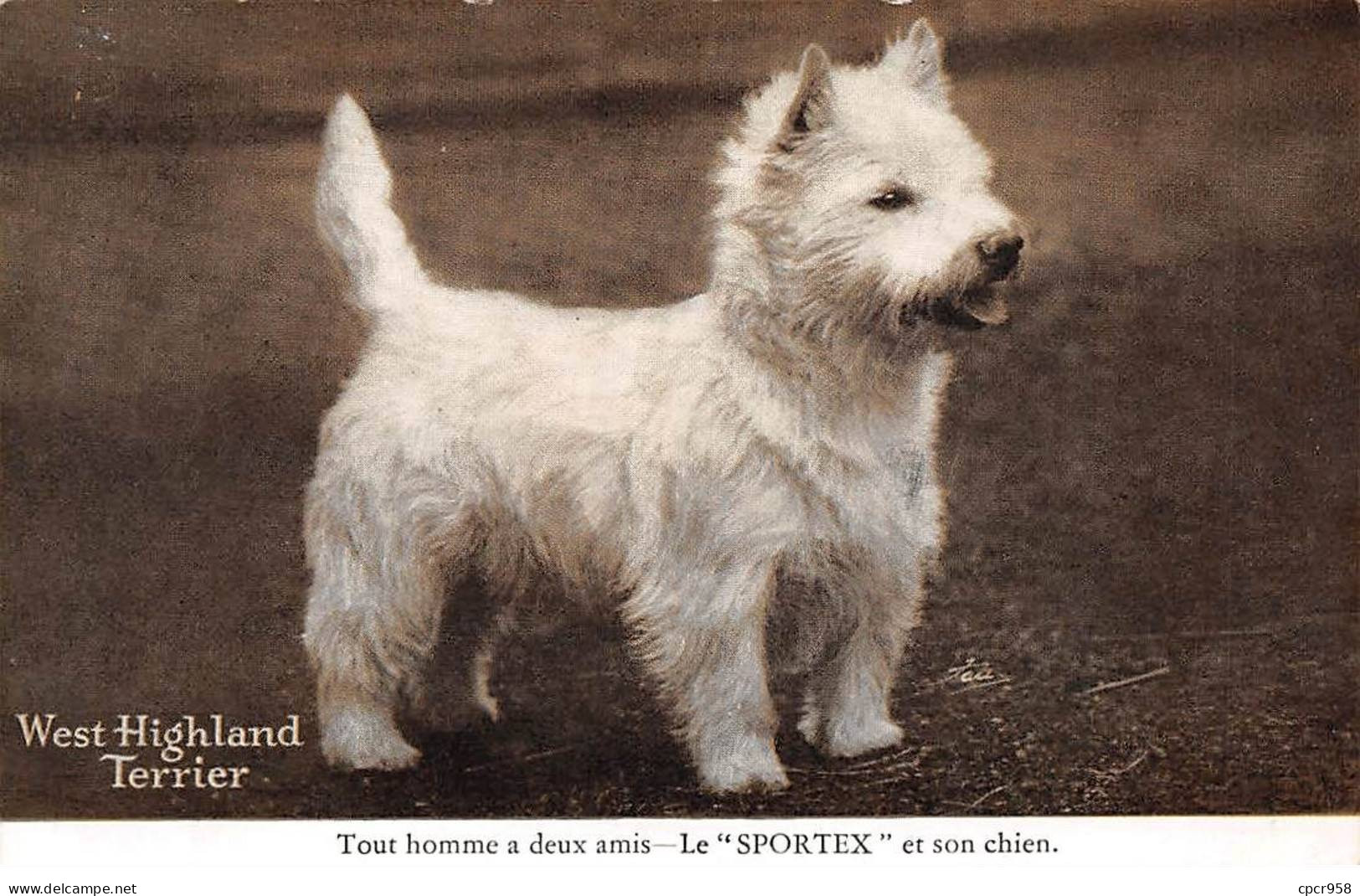 PUBLICITE - SAN54045 - West Highland Terrier - Tout Homme A Deux Amis - Le "Sportex" Et Son Chien - Pubblicitari