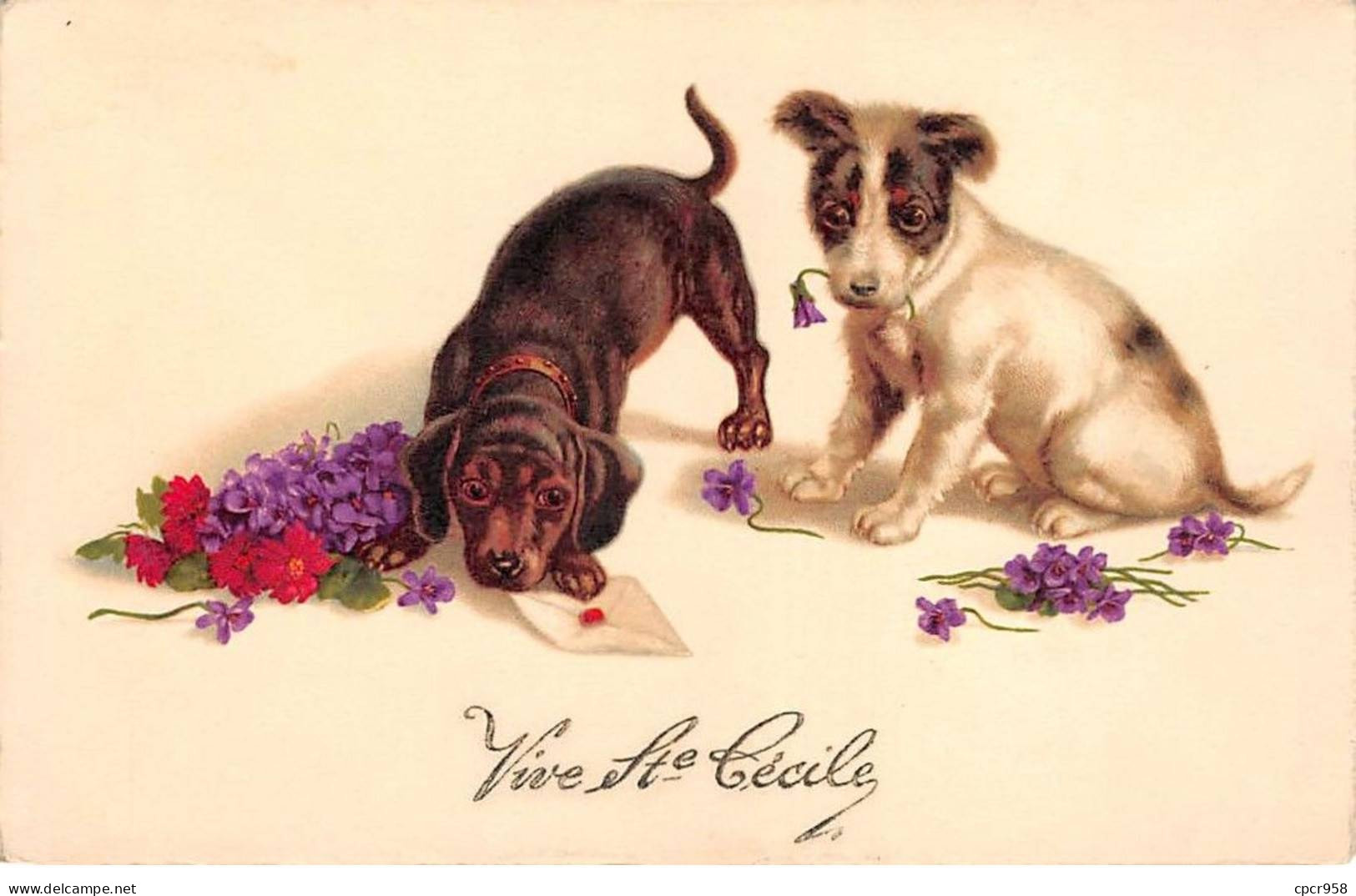 Animaux - N°83973 - Chiens - Vive Ste Cécile - Chiens Avec Une Lettre Et Des Violettes, Dont Un Teckel - Dogs