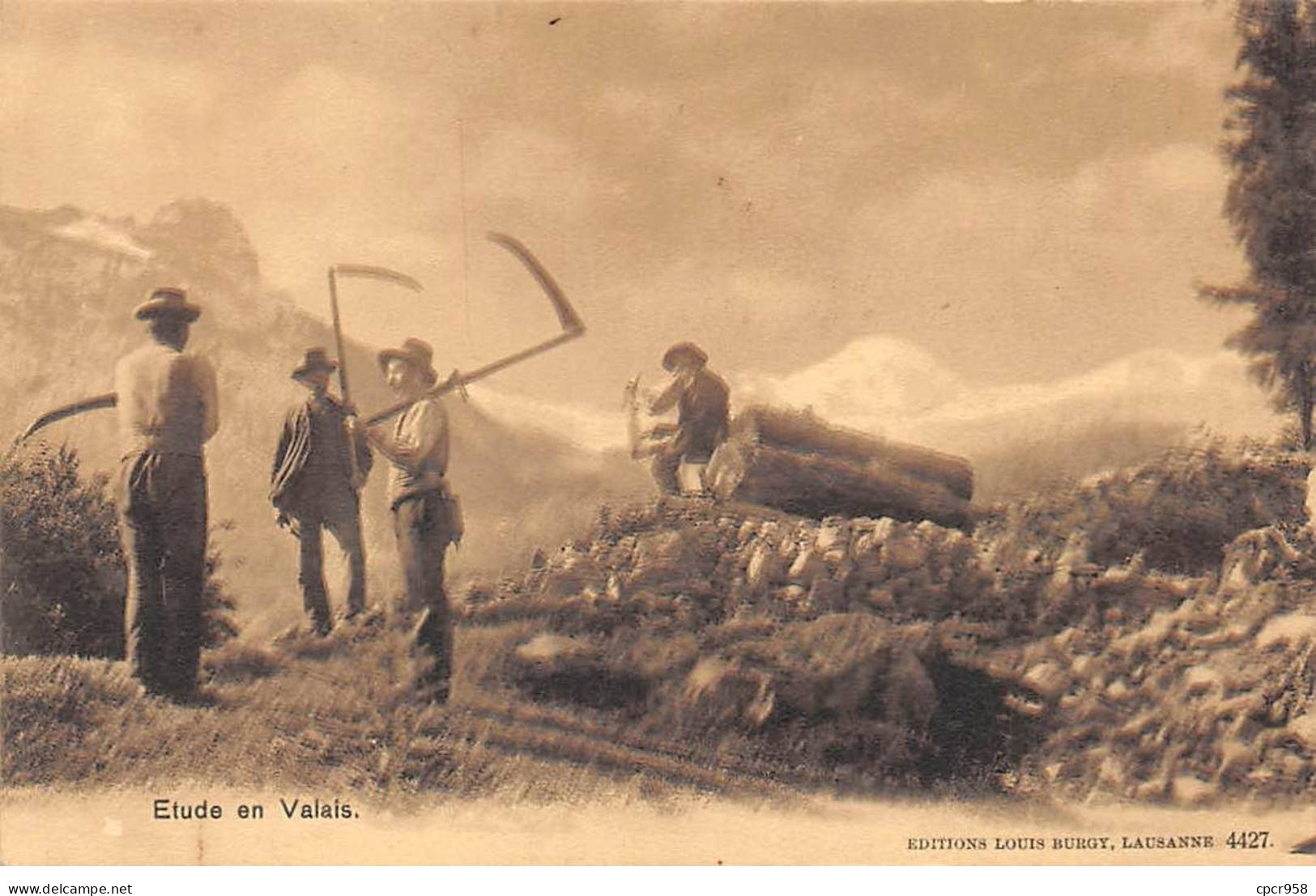 SUISSE - SAN51008 - Etude En Valais - Agriculture - Autres & Non Classés