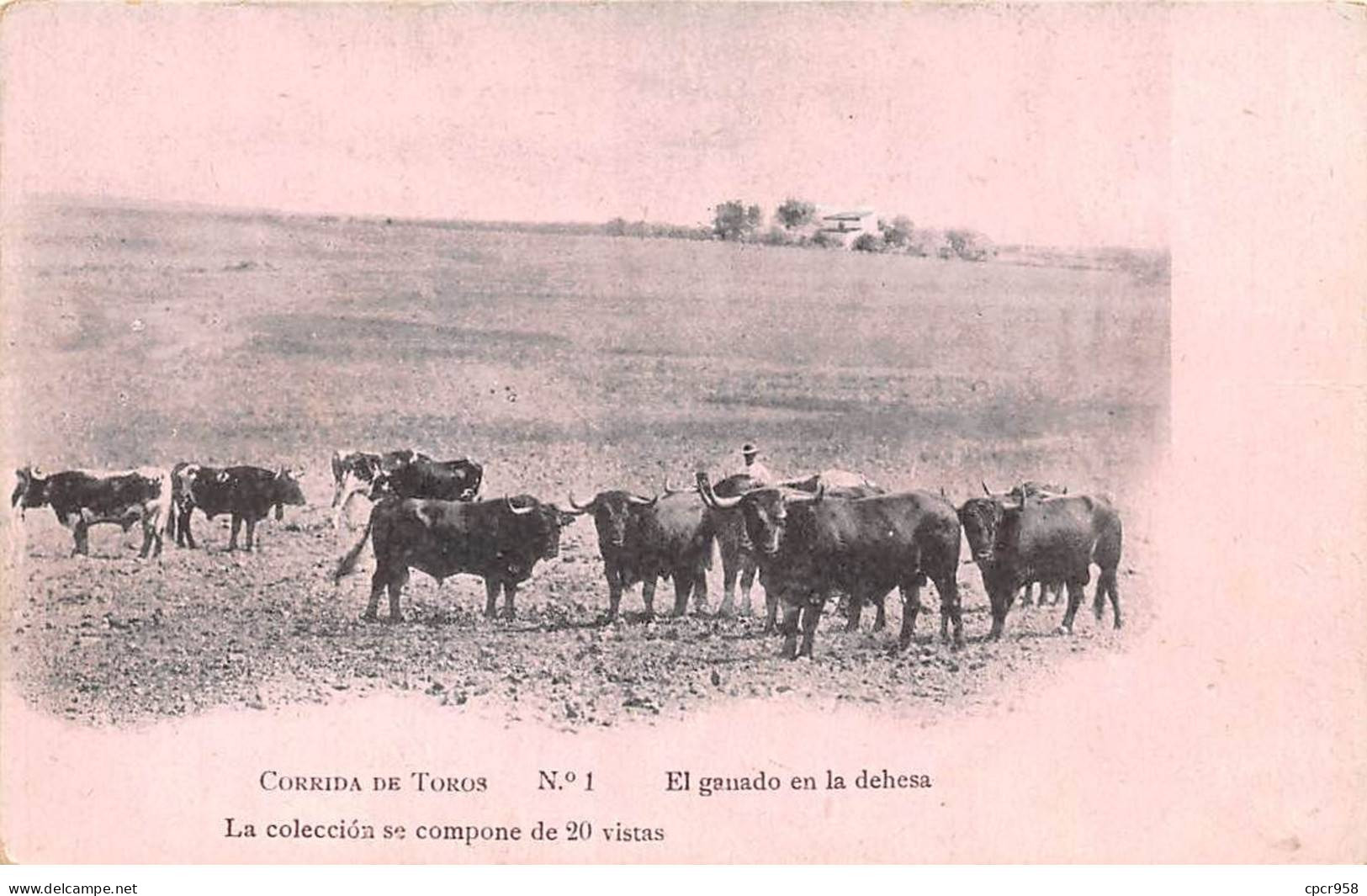 ESPAGNE - SAN51022 - Corrida De Toros - El Ganado En Ka Dehesa - Other & Unclassified