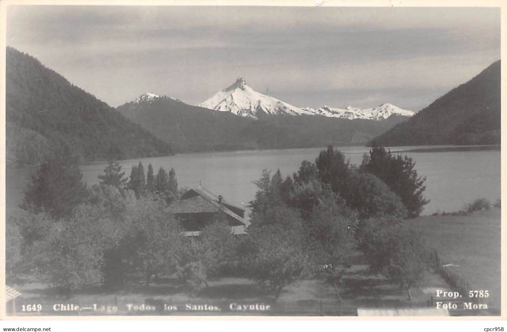 CHILI - SAN51282 - Carte Photo - Lago Todas Los Santos - Cayutue - Cile