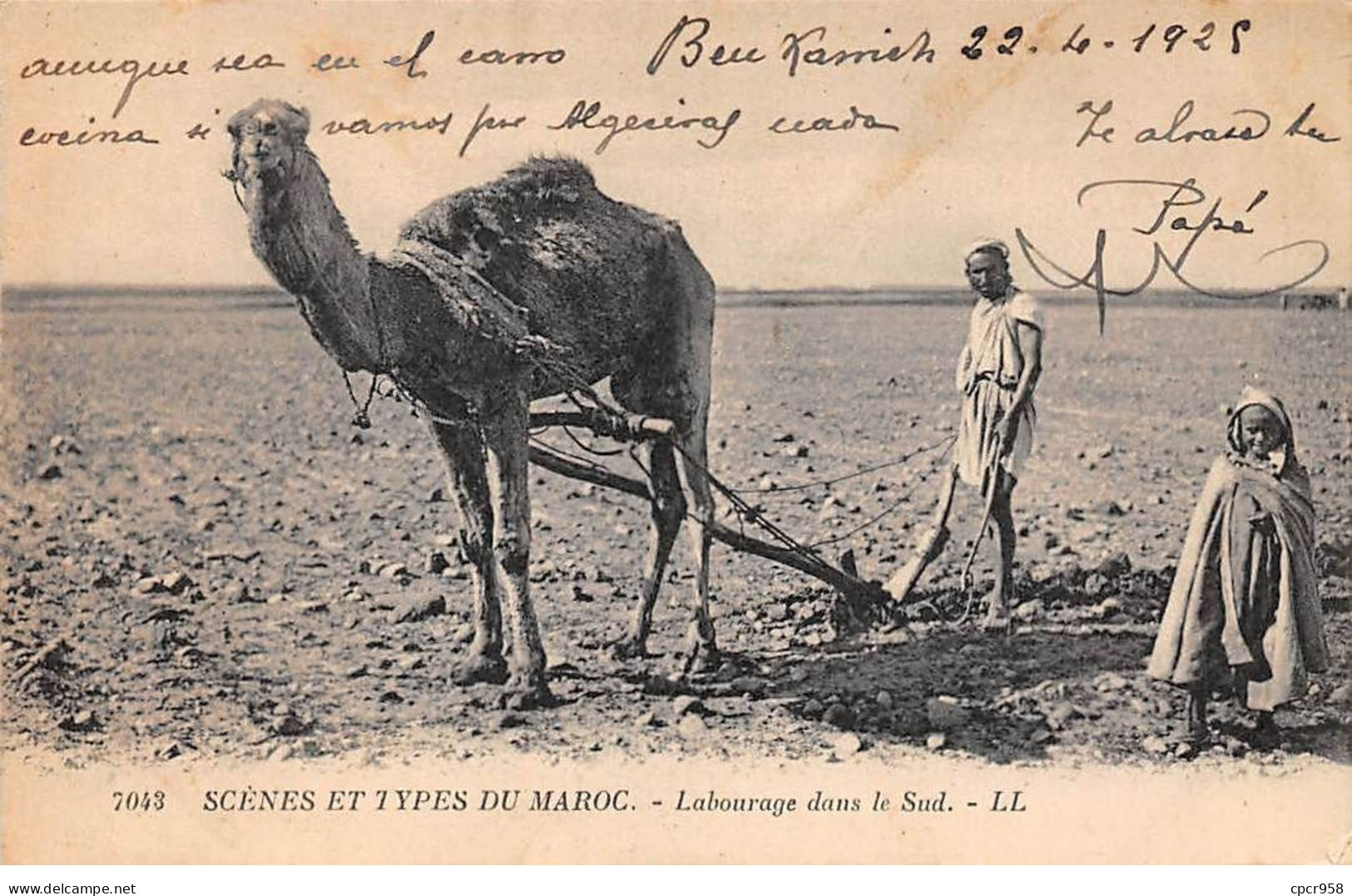 MAROC - SAN48252 - Labourage Dans Le Sud - Cachet Militaire - Dragones - Other & Unclassified