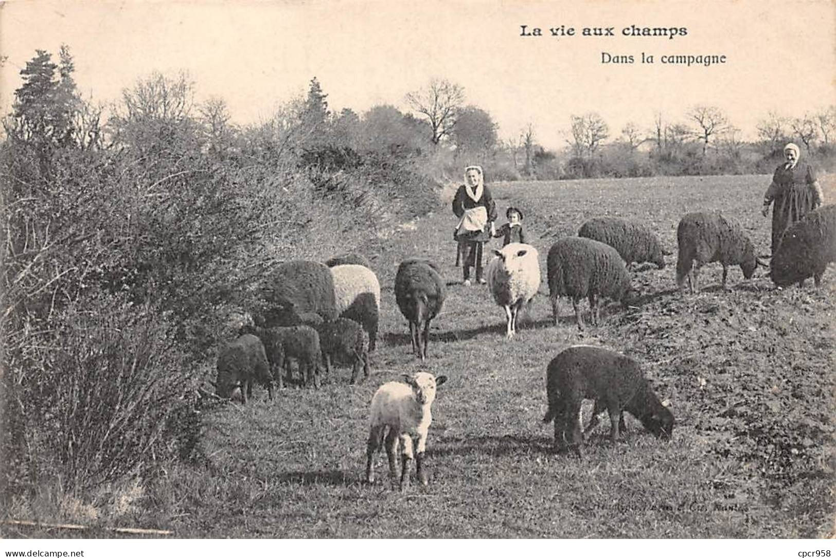 AGRICULTURE - SAN48358 - La Vie Aux Champs - Dans La Campagne - Allevamenti