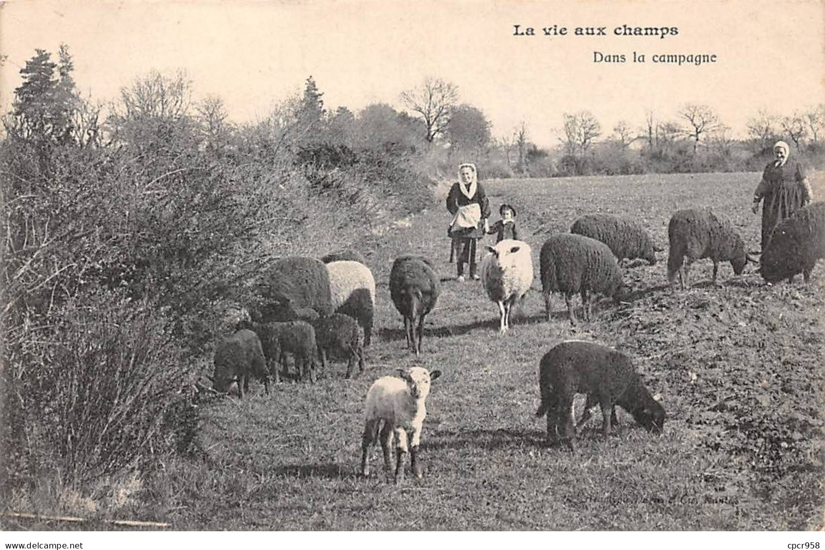 AGRICULTURE - SAN48358 - La Vie Aux Champs - Dans La Campagne - Crías