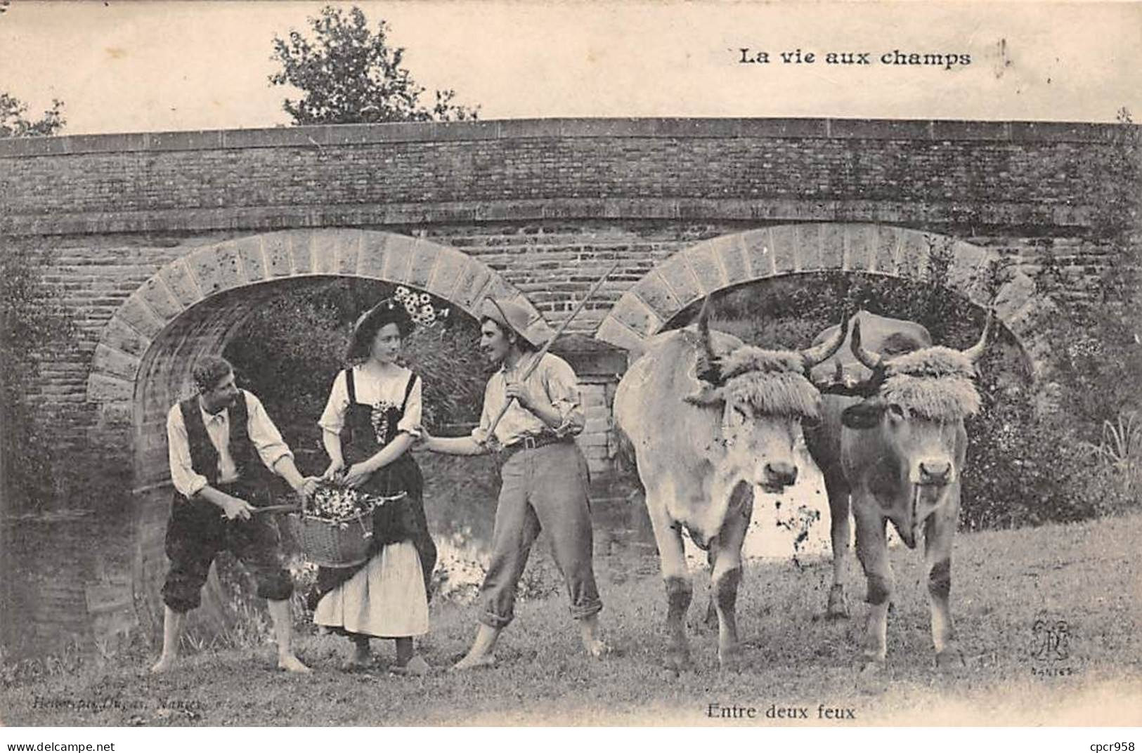 AGRICULTURE - SAN48357 - La Vie Aux Champs - Entre Deux Feux - Viehzucht