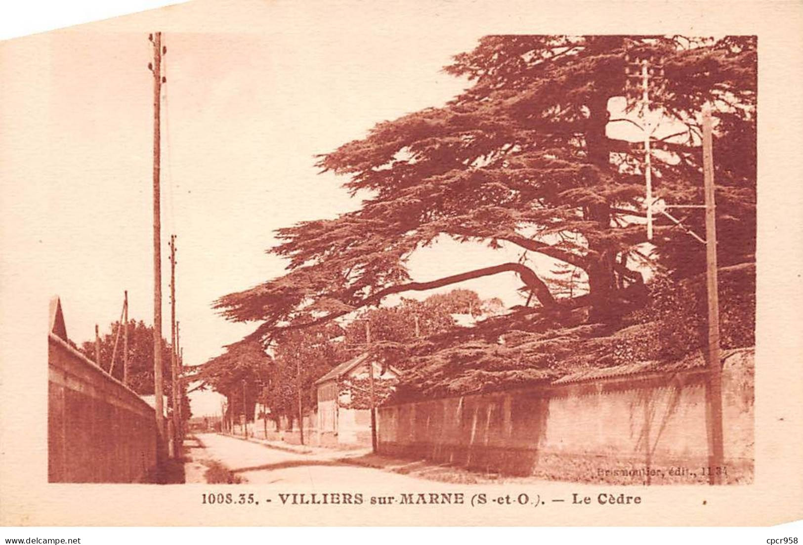 94 - VILLIERS SUR MARNE - SAN50921 - Le Cèdre - Villiers Sur Marne