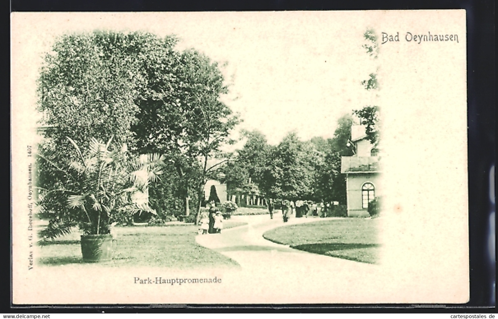 AK Bad Oeynhausen, An Der Park-Hauptpromenade  - Bad Oeynhausen