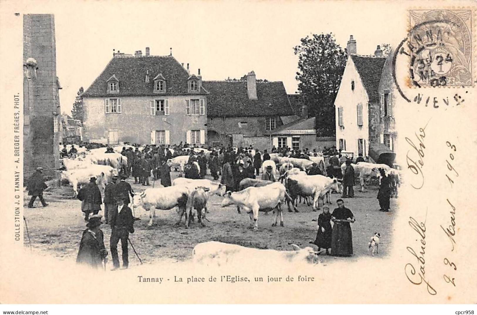 58 - TANNAY - SAN57101 - La Place De L'Eglise - Un Jour De Foire - Agriculture - Tannay