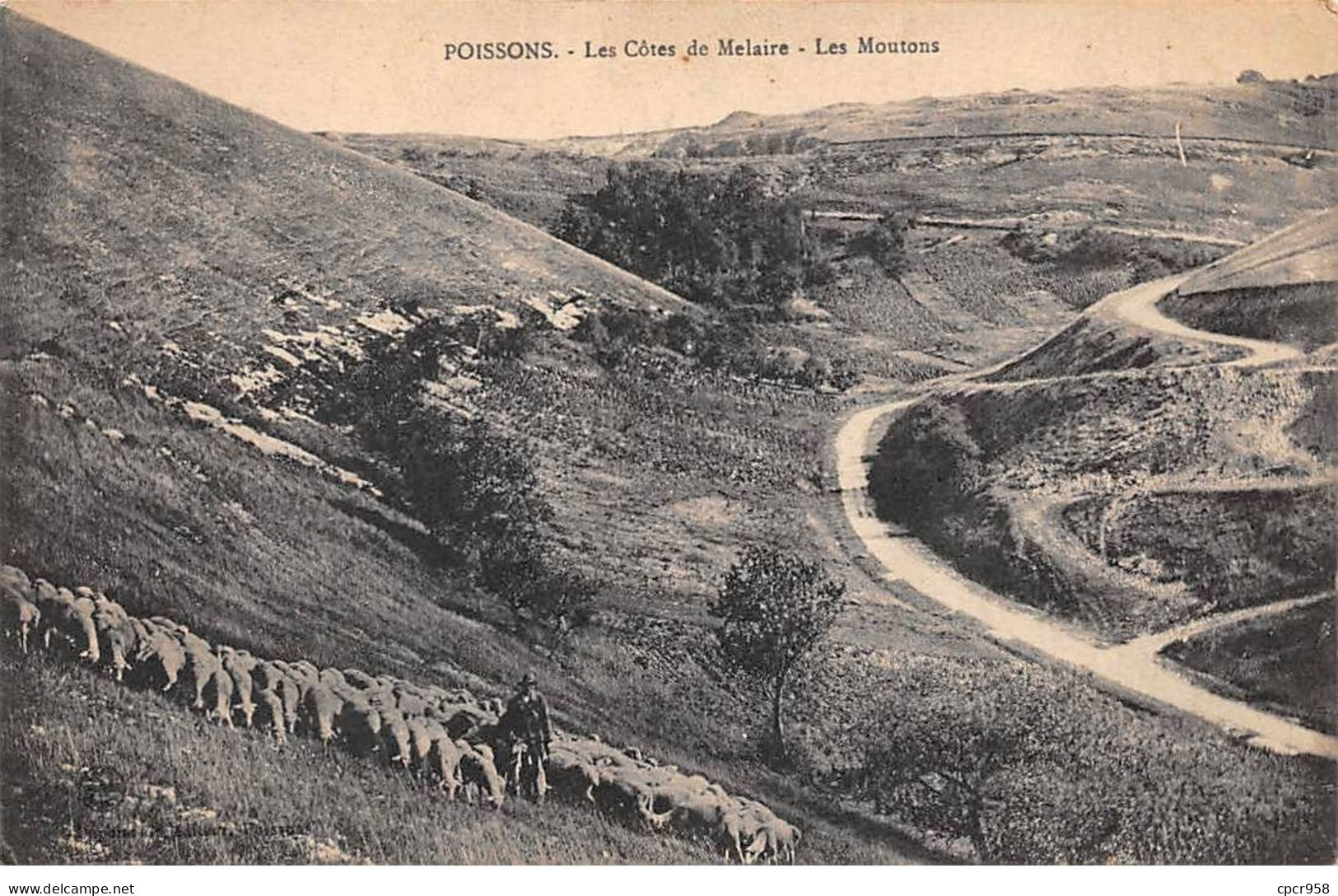 52 - POISSONS - SAN52893 - Les Côtes De Melaire - Les Moutons - Poissons