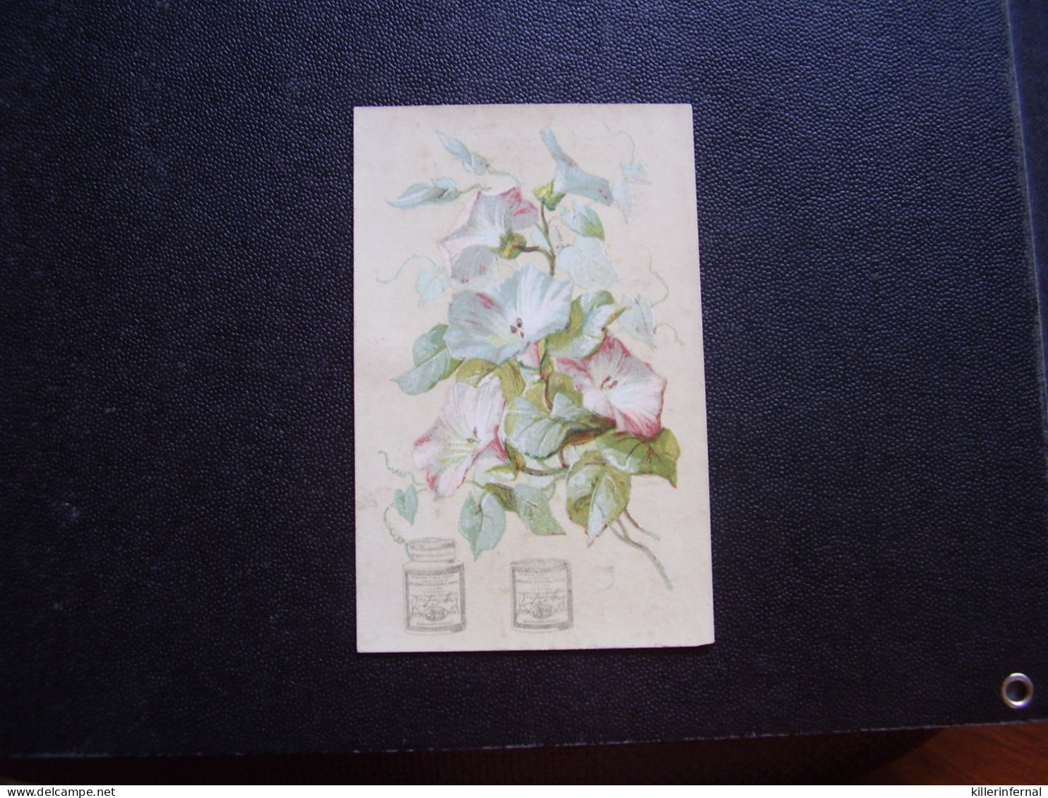 Original Old Card Chromo Liebig S 45 Branche De Fleur Rare - Liebig