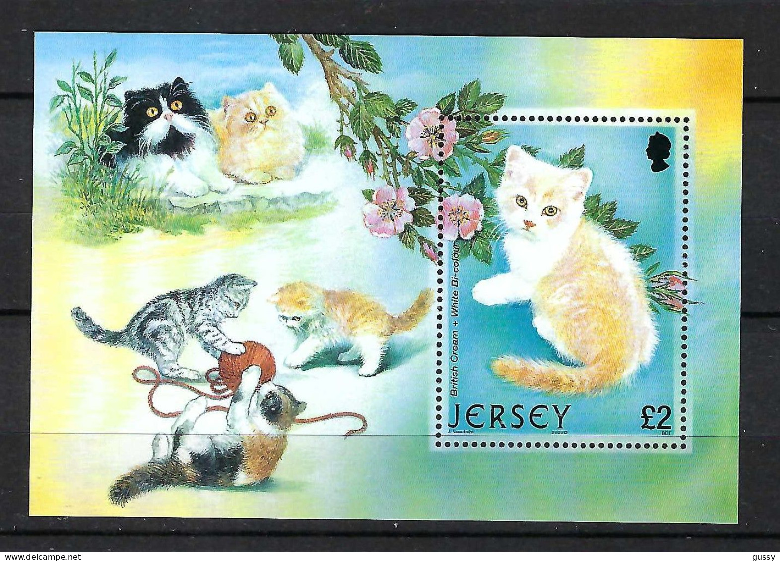 JERSEY Ca. 2002: B&F Neuf** "CHAT" - Katten