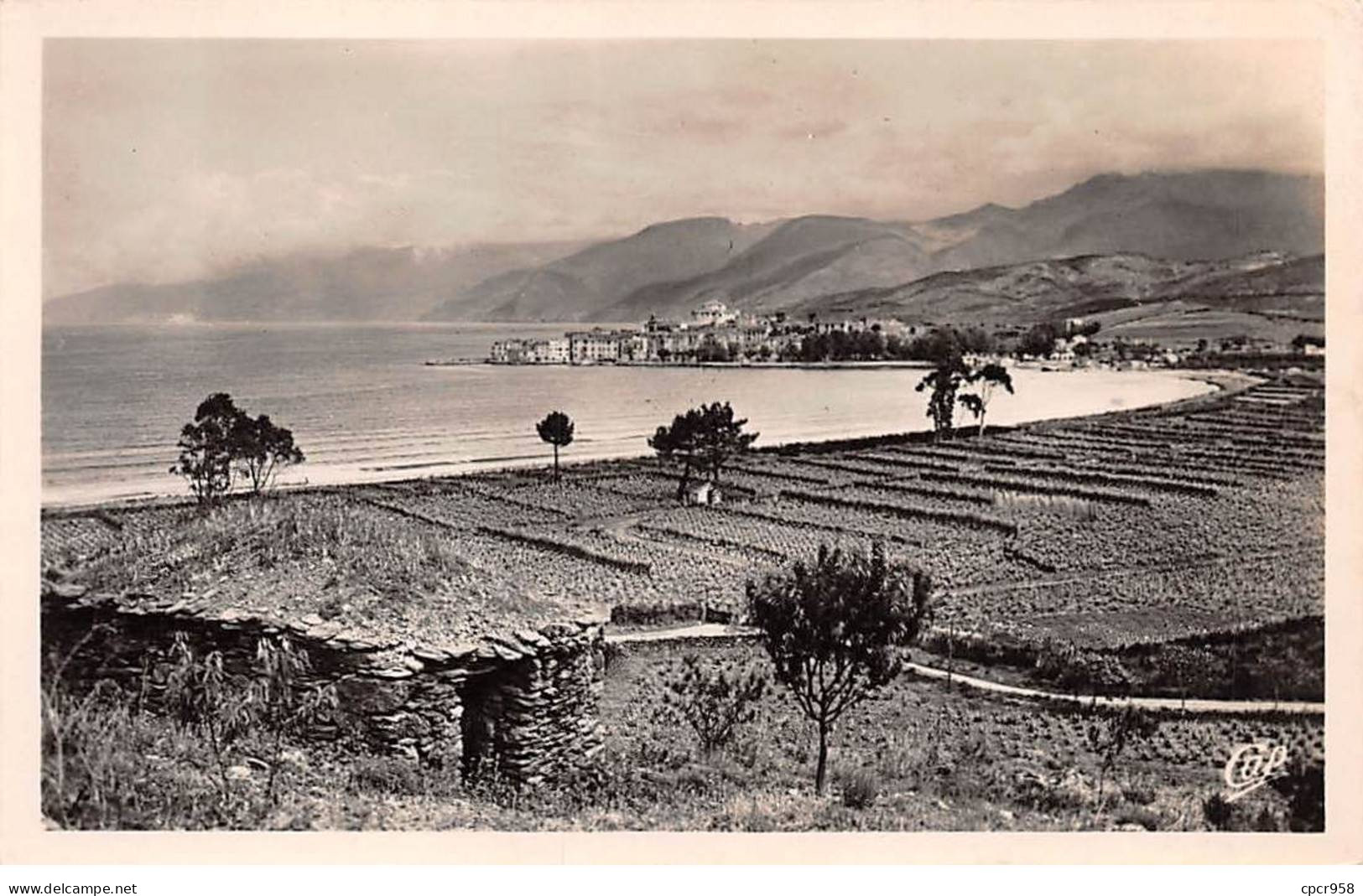 20 - ST FLORENT - SAN52483 - Vue Sur Le Golfe Et Le Cap - Autres & Non Classés