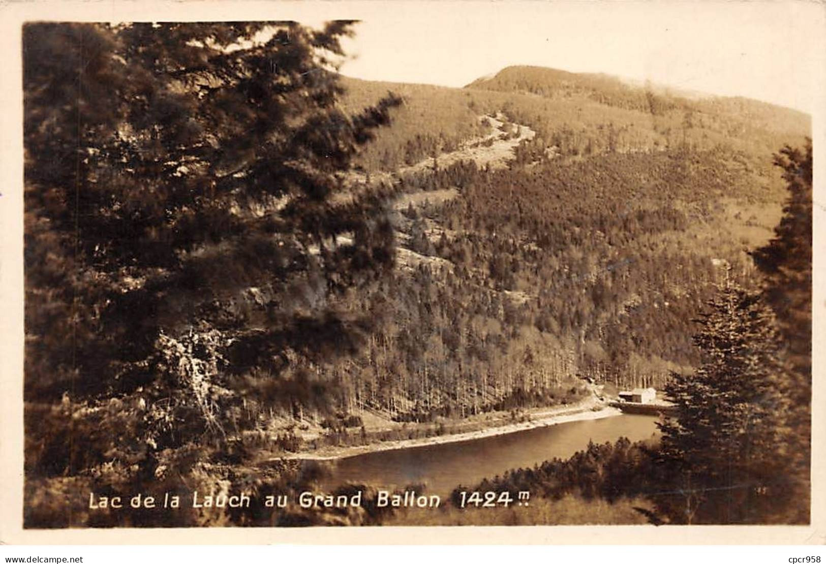 68 - GRAND BALLON - SAN49261 - Lac De La Lauch - Altri & Non Classificati