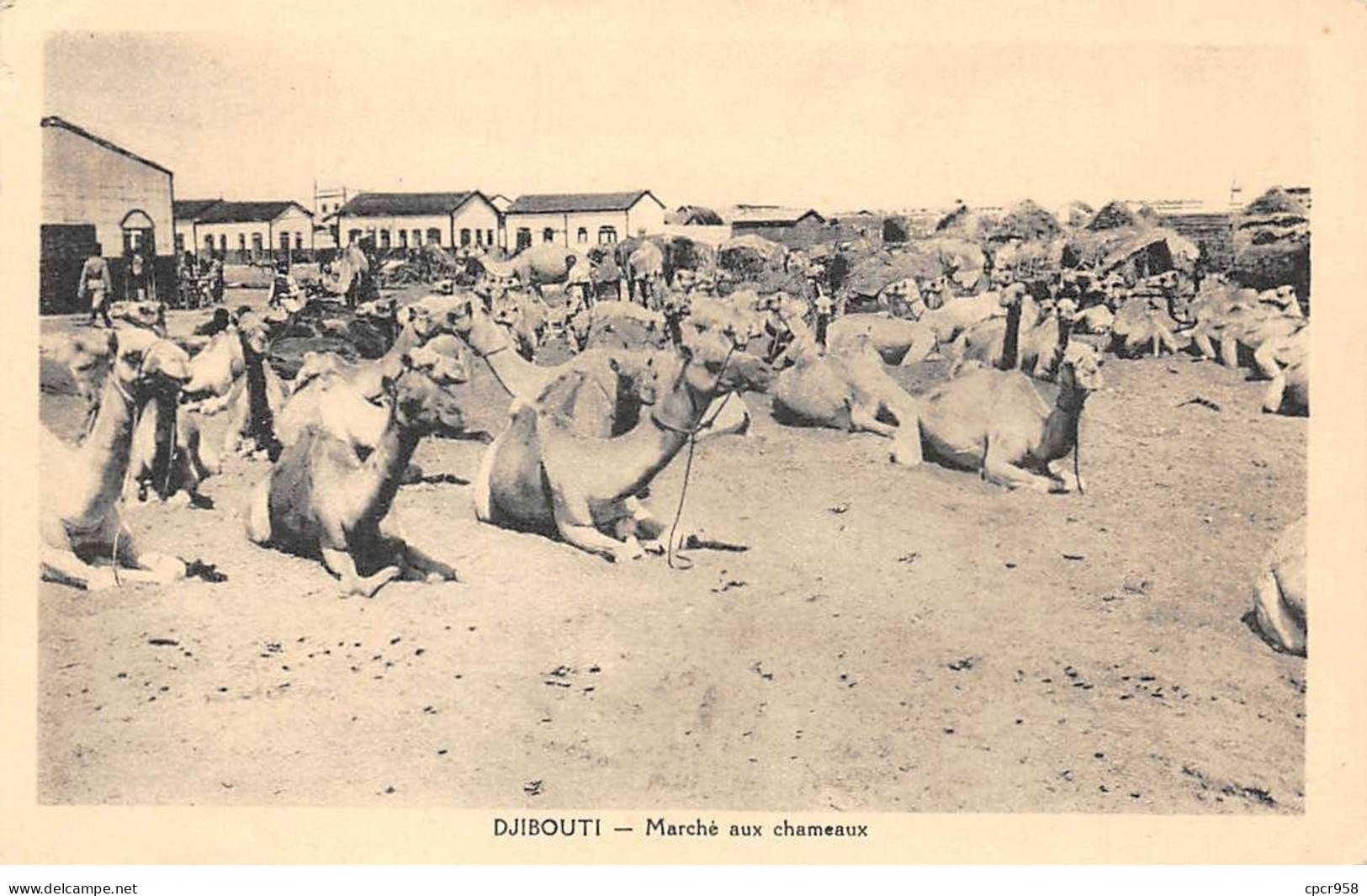 DJIBOUTI - SAN56462 - Marché Aux Chameaux - Dschibuti