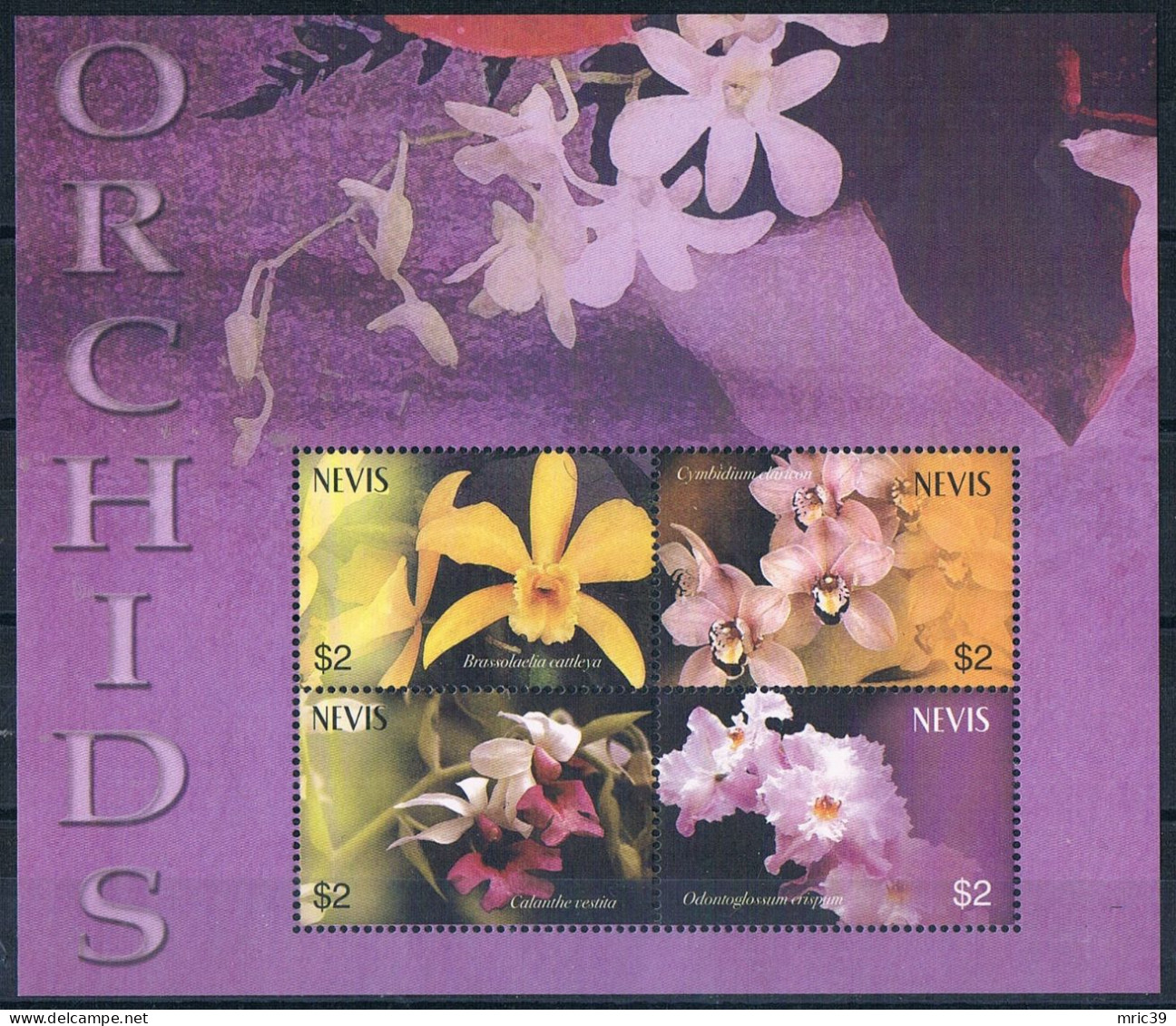 Bloc Sheet Fleurs Orchidées Flowers Orchids  Neuf  MNH **  Nevis 2003 - Orchids