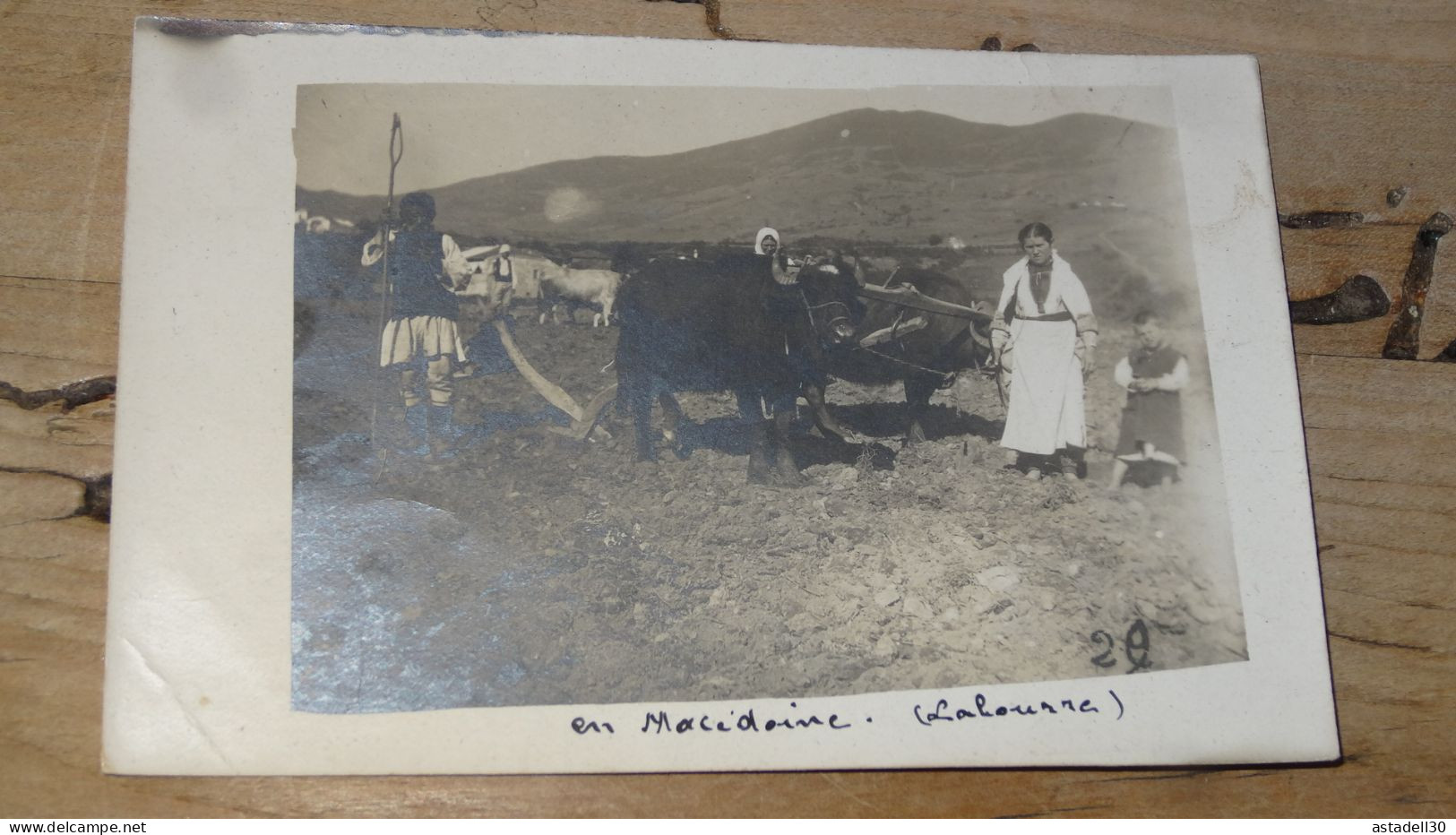 Carte Photo Laboureurs  ................18680 - Macédoine Du Nord