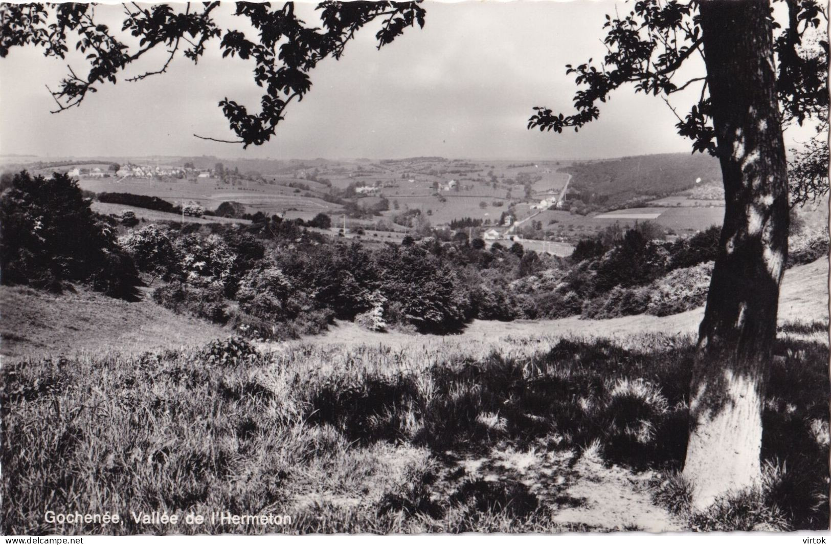 Gochenée - Doische