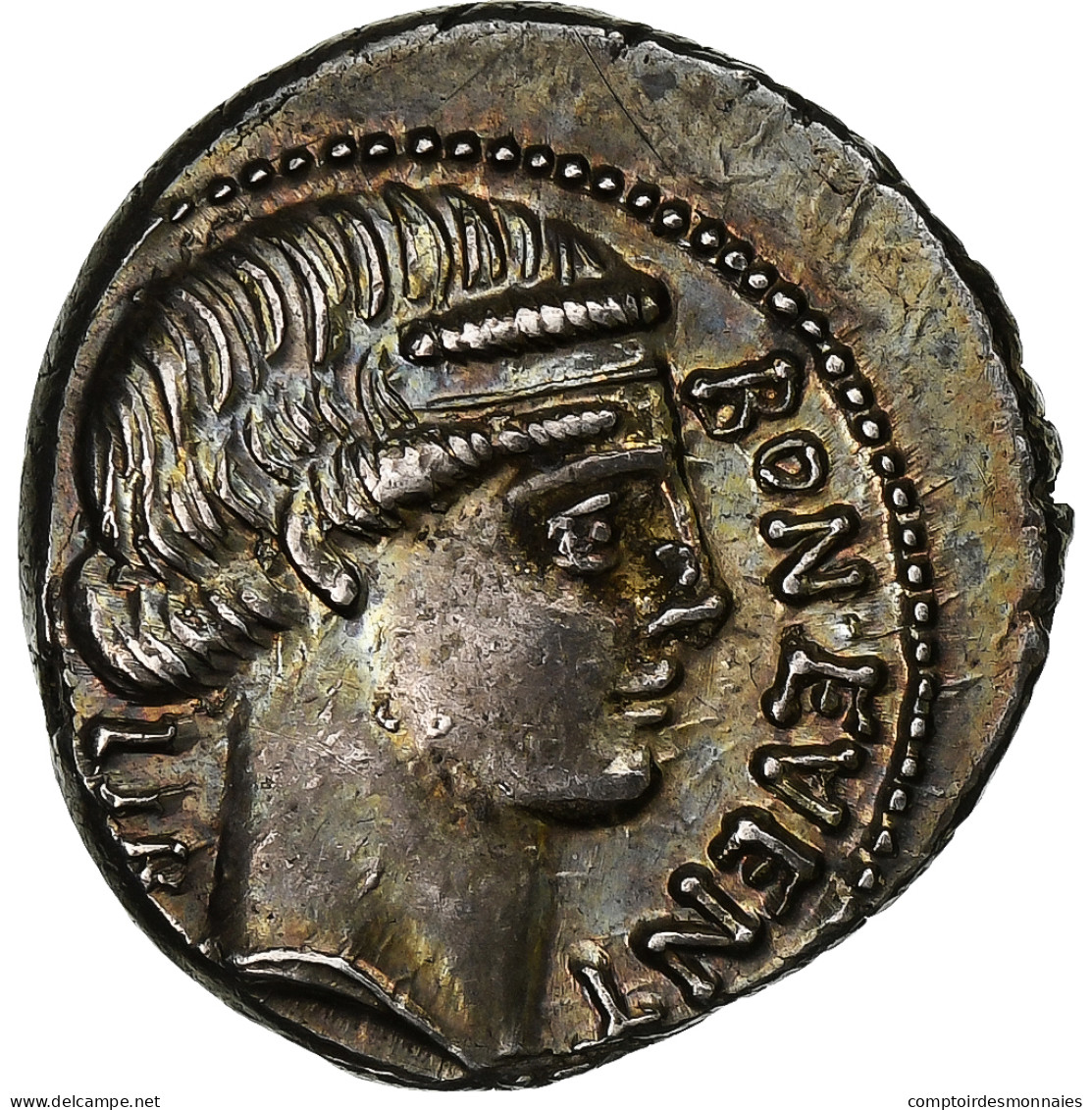 Scribonia, Denier, 62 BC, Rome, Argent, SUP, RIC:416/1b - République (-280 à -27)